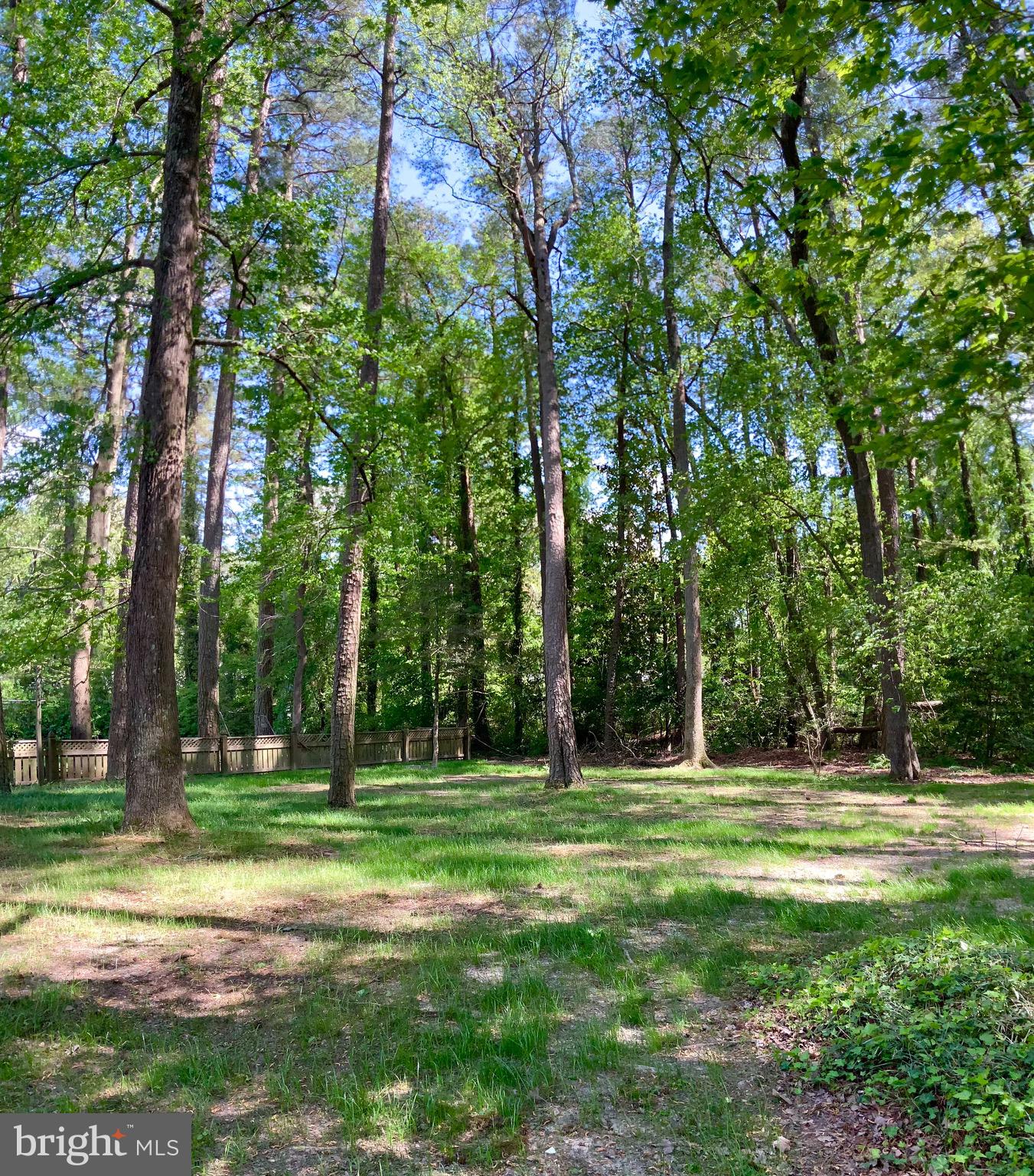 HUNTING PARK - Residential