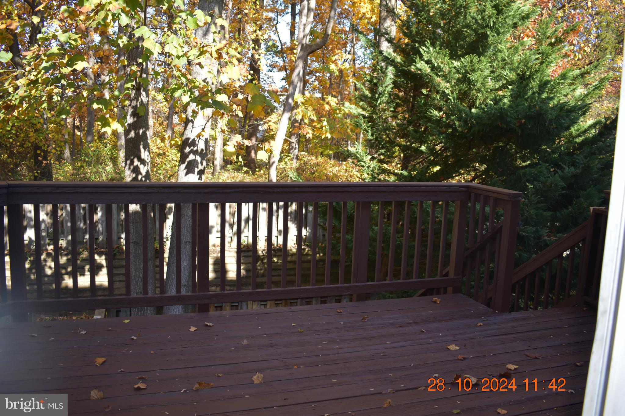 AMBERFIELD - Residential Lease