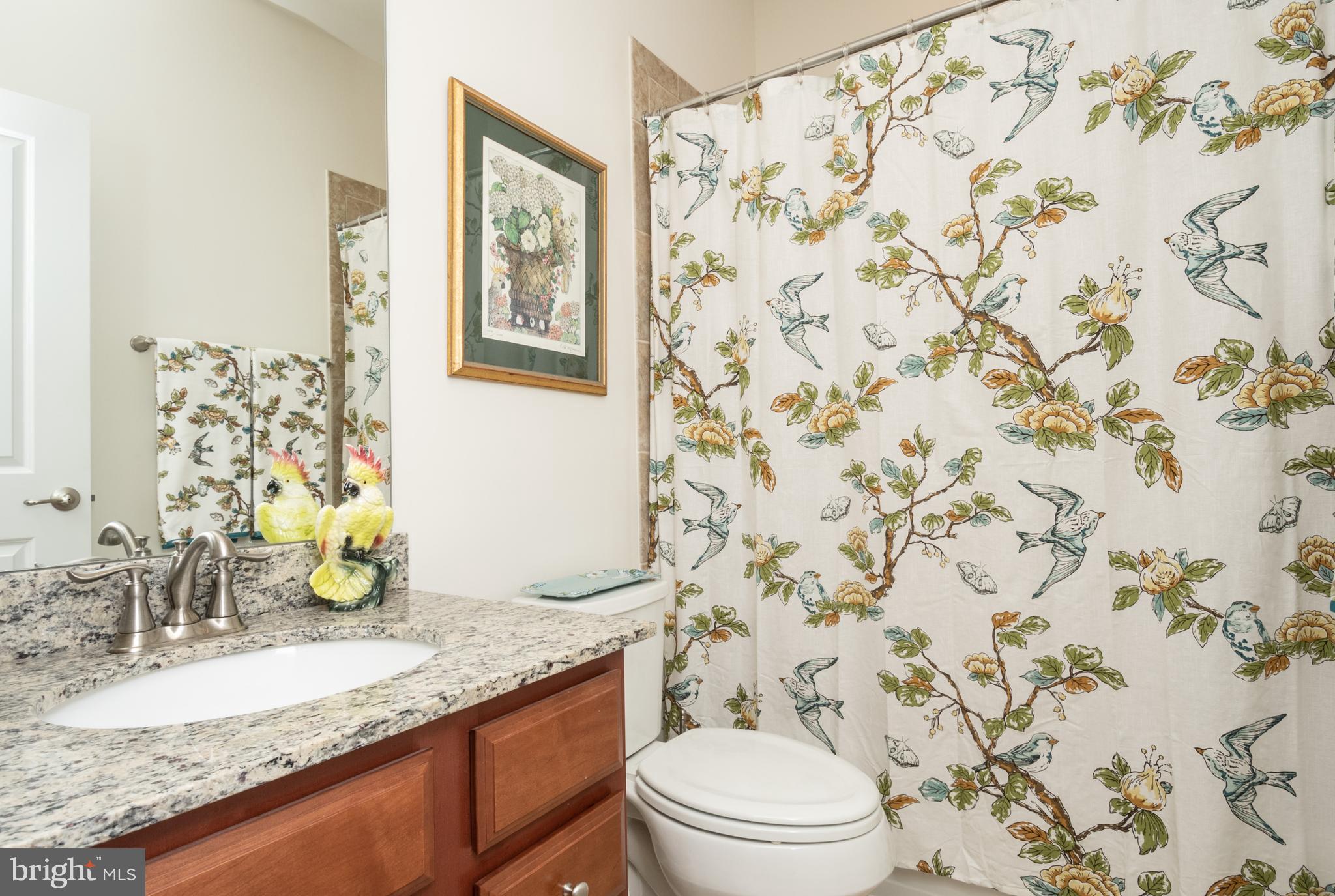 SNOWDEN BRIDGE - Residential