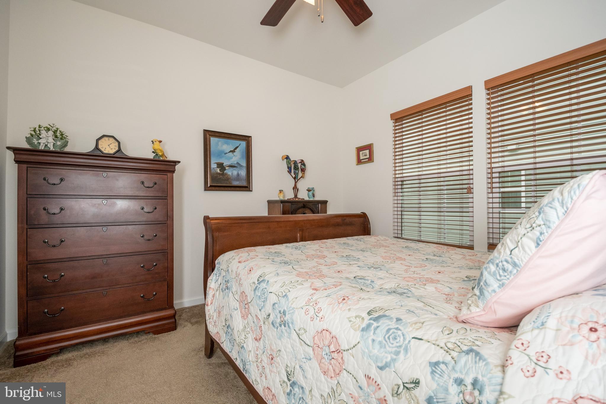 SNOWDEN BRIDGE - Residential