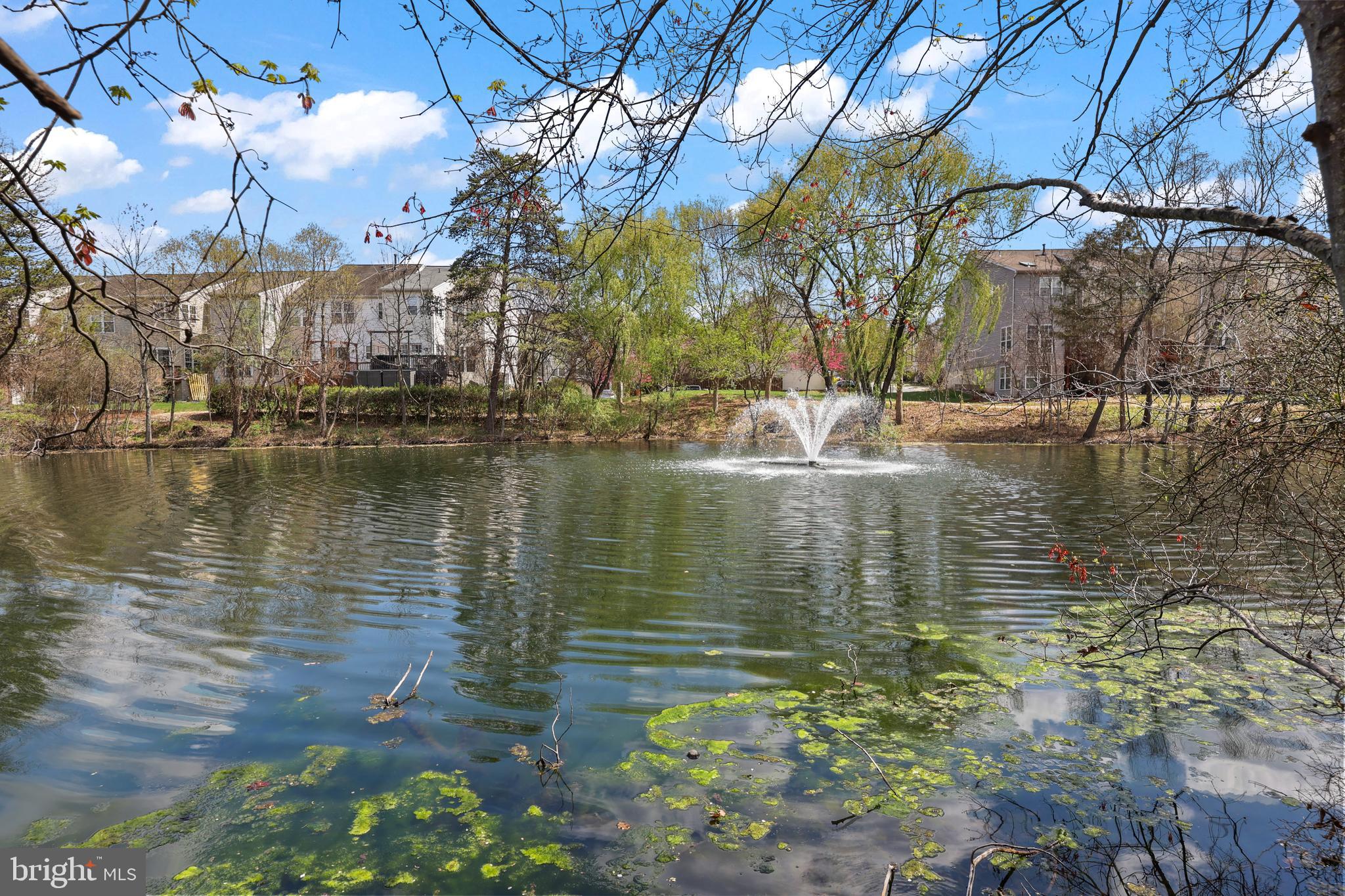 DOMINION STATION CONDOMINIUM - Residential