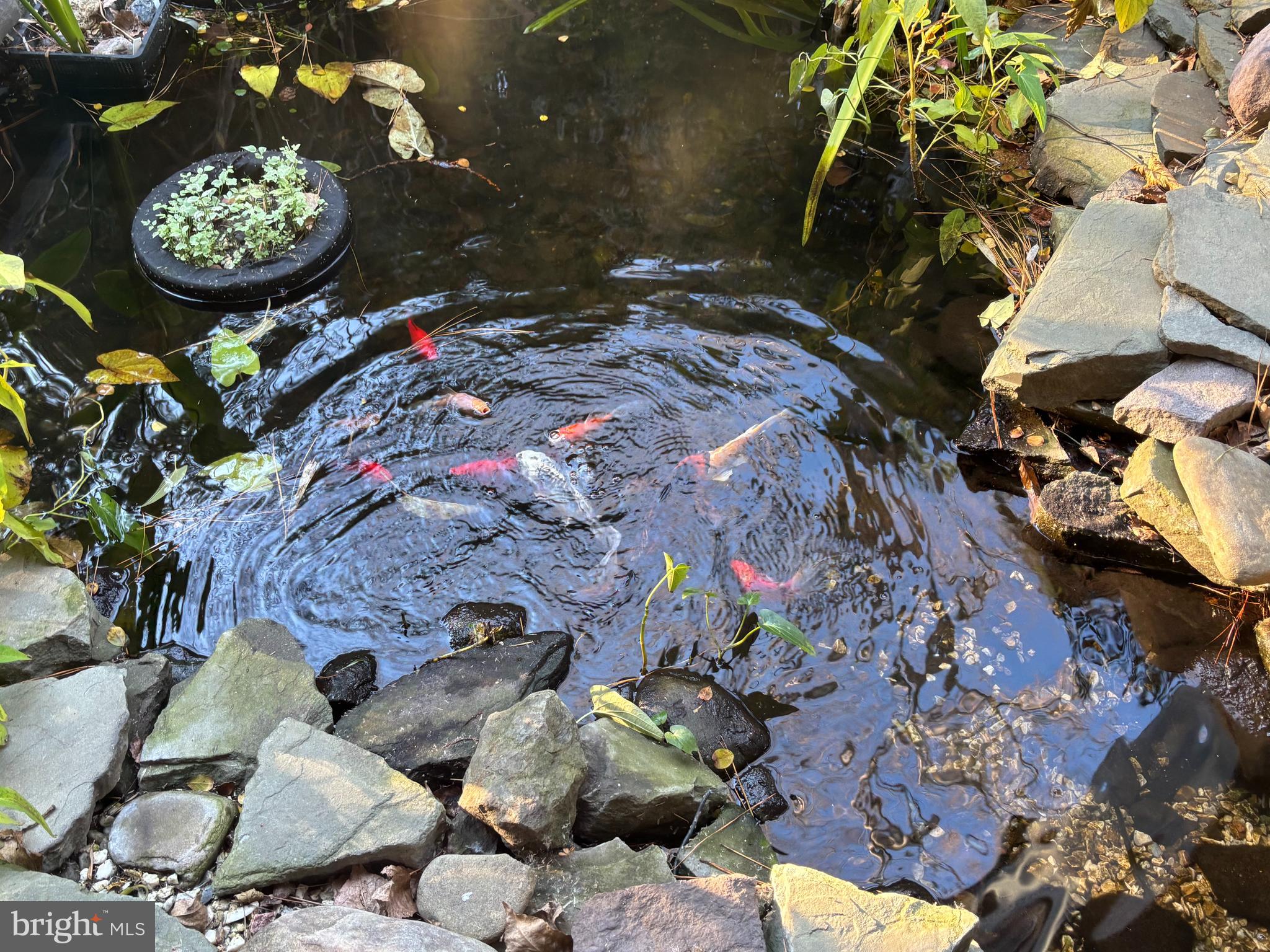 BROADKILL BEACH - Residential