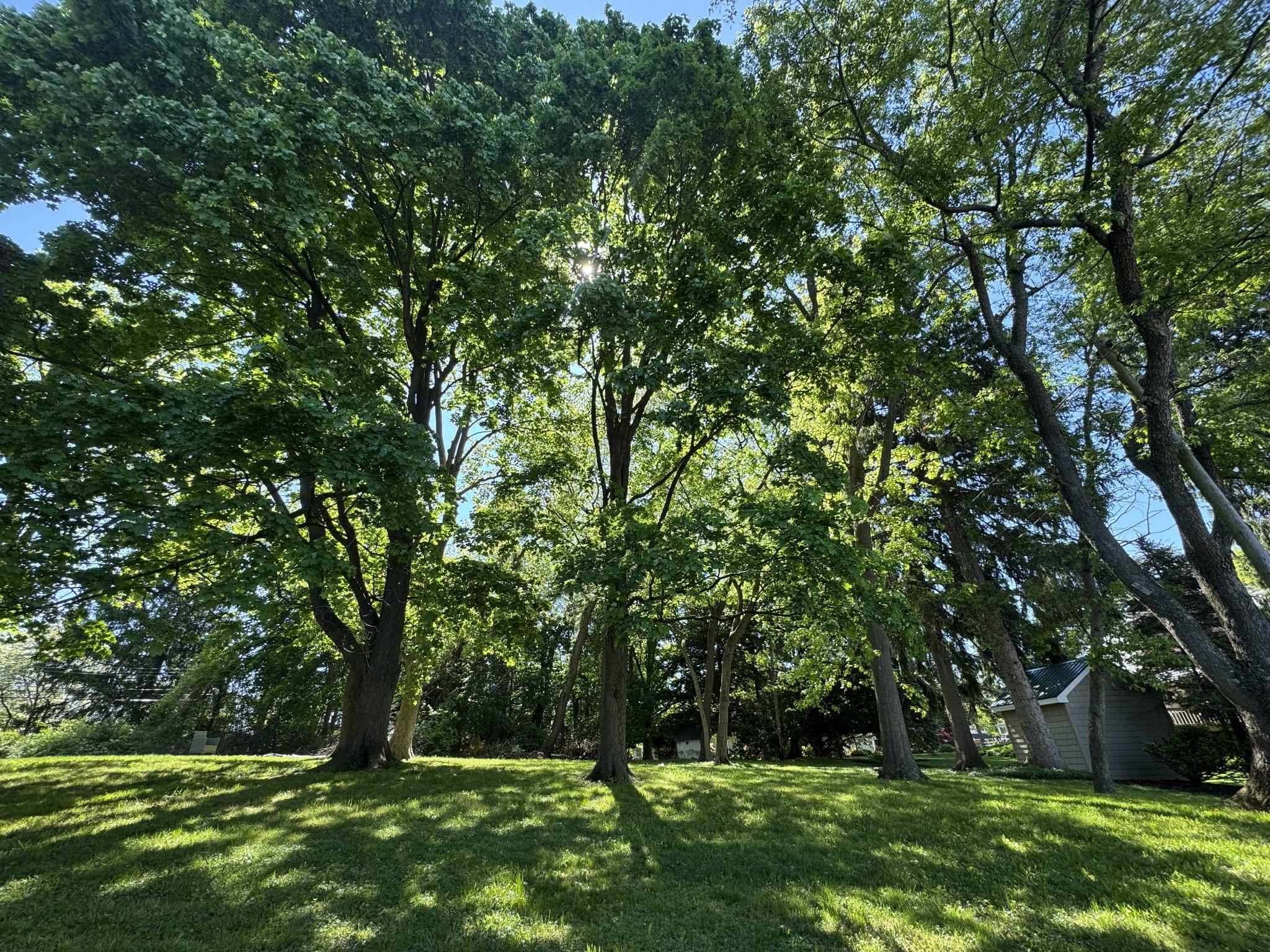CHELTENHAM - Residential
