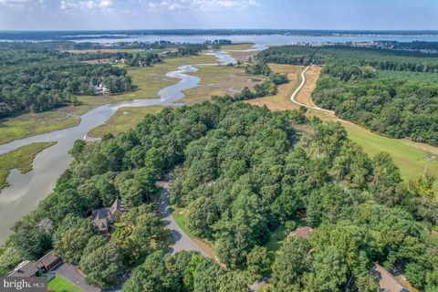 10 MALLARD DRIVE DAGSBORO DE 19939