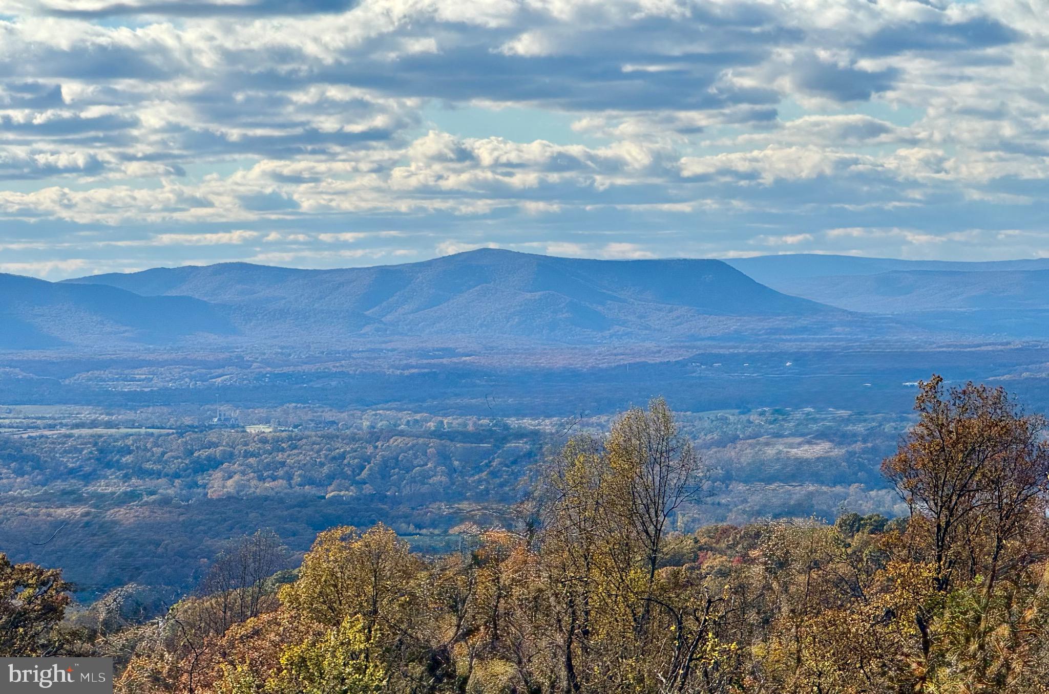 SHENANDOAH FARMS - Residential