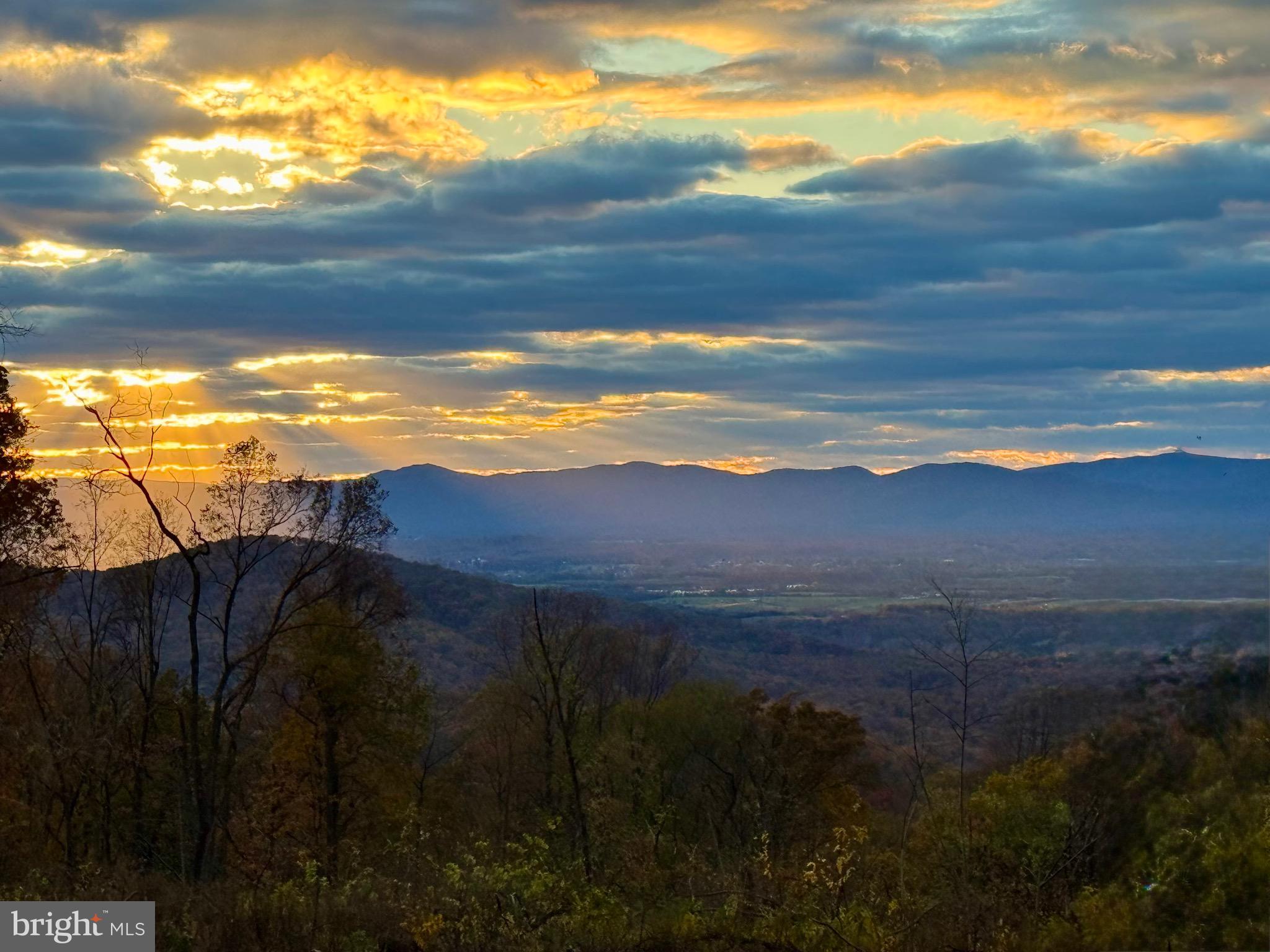 SHENANDOAH FARMS - Residential