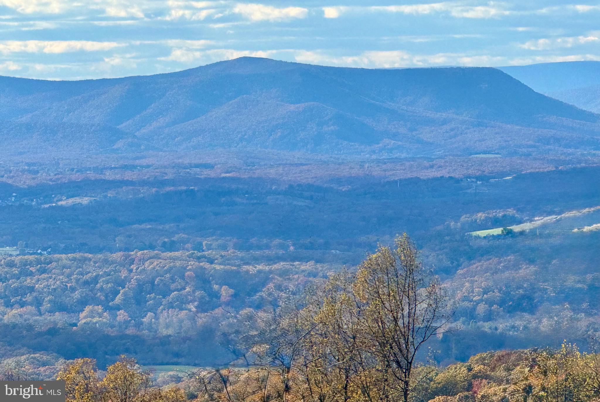 SHENANDOAH FARMS - Residential