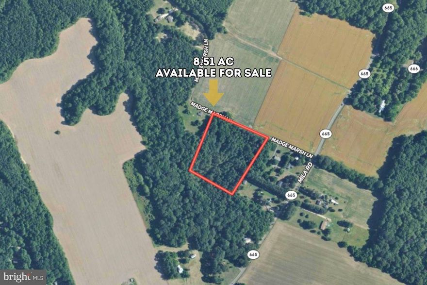 8.51 Acres on Virginia's Northern Neck — Where History, Nature, and Your Future Meet. Nestled on
Madge Marsh Ln in Heathsville, Northumberland County, Virginia, this gloriously wooded 8.51-acre A-1
zoned parcel is a rare and breathtaking piece of one of the most naturally stunning, historically rich, and
deeply beloved regions on the entire East Coast. Direct asphalt road frontage, gently rolling terrain,
electricity already at the street, zero wetlands, zero flood zone, zero floodway, and absolutely no HOA
restrictions — every obstacle gone, every concern answered, every dream made possible on wide-open,
magnificently private Virginia land that is entirely yours. The flexible A-1 zoning welcomes single-family
homes, site-built, modular, manufactured and mobile homes, and RVs, while hunting, camping, and
livestock with permit are all fully permitted — a perfect fit for every lifestyle, every dream, and every
budget. Whether you are building your forever home surrounded by the breathtaking beauty of the
Northern Neck, creating a private hunting and recreational retreat, launching a thriving rural homestead, or securing a rare and powerfully appreciating piece of coastal Virginia — this property rises to meet every
vision with warmth and undeniable promise. Just 1 hour and 49 minutes from Richmond. No delinquent
taxes. Northumberland County, Virginia. Land this beautiful and this perfectly positioned on the Northern
Neck is discovered once and claimed fast — your Virginia legacy begins right here.
