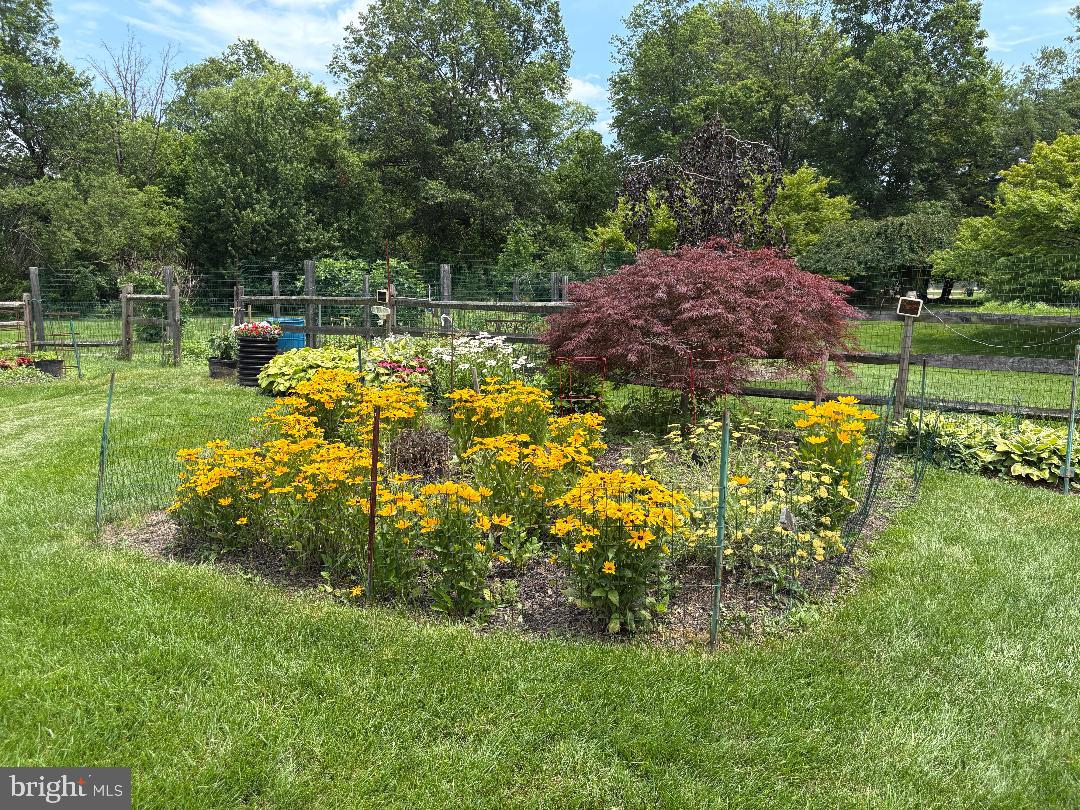 HAMPTON CHASE - Residential