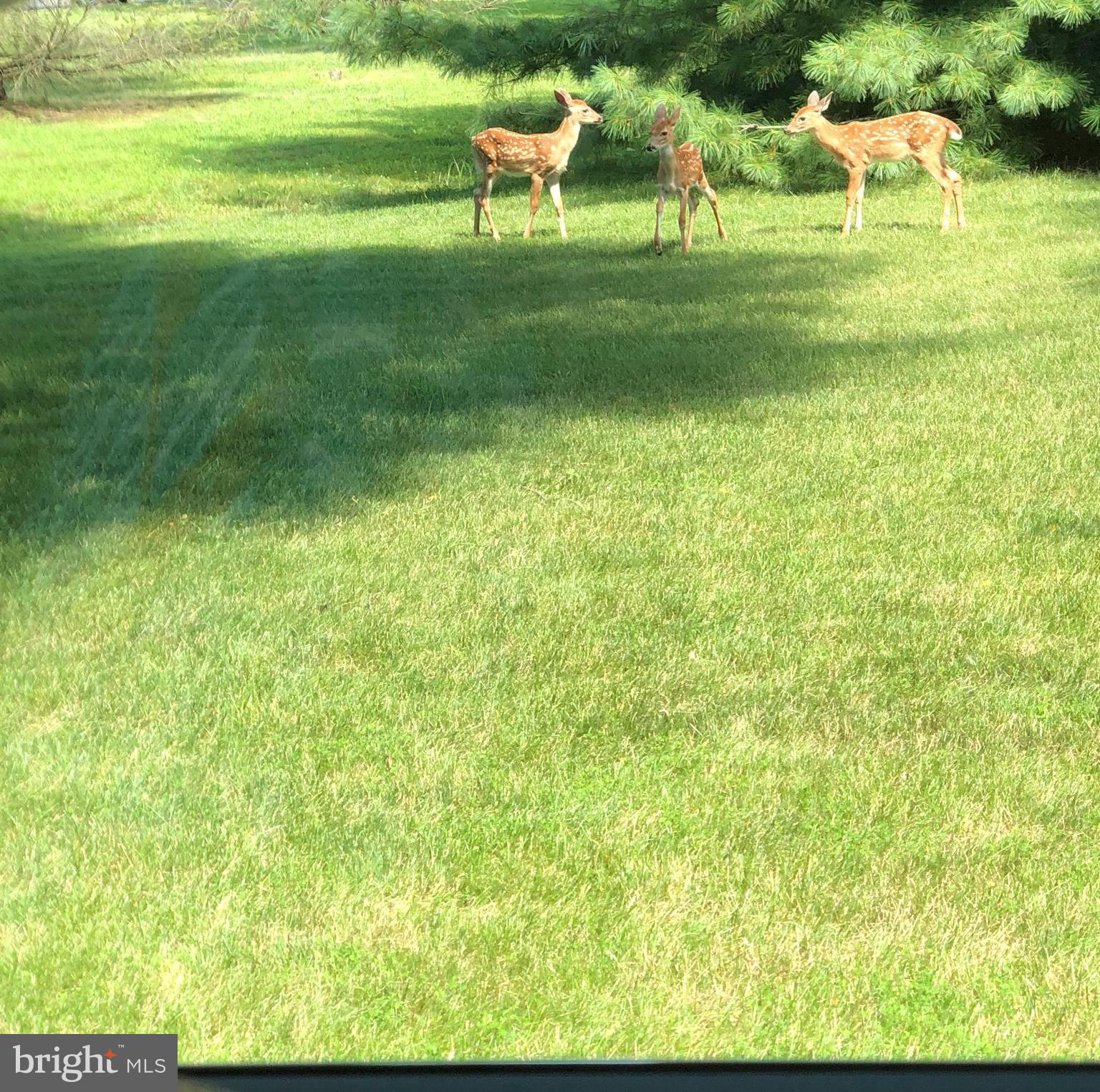 HAMPTON CHASE - Residential