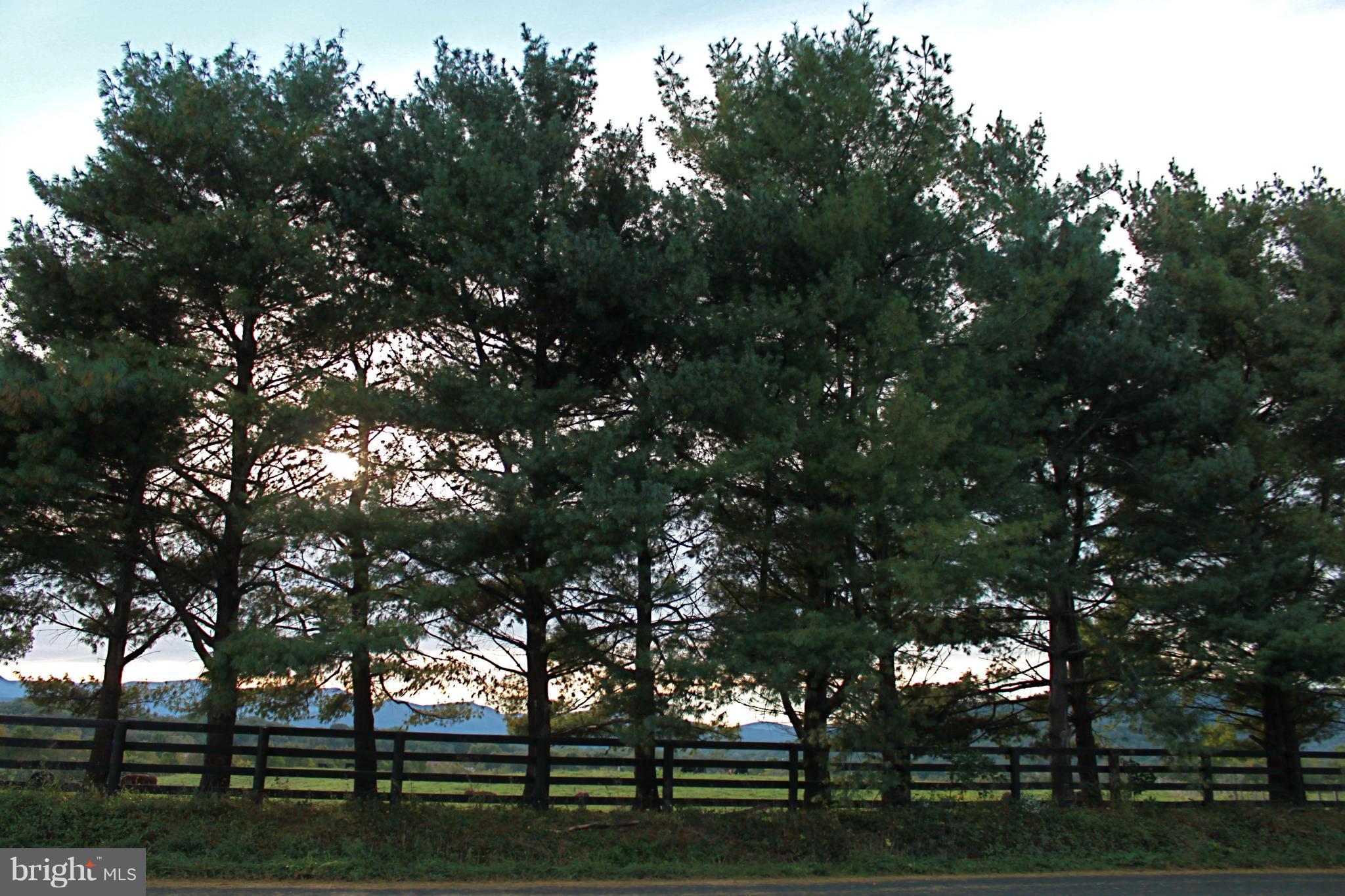 NONE AVAILABLE - Land