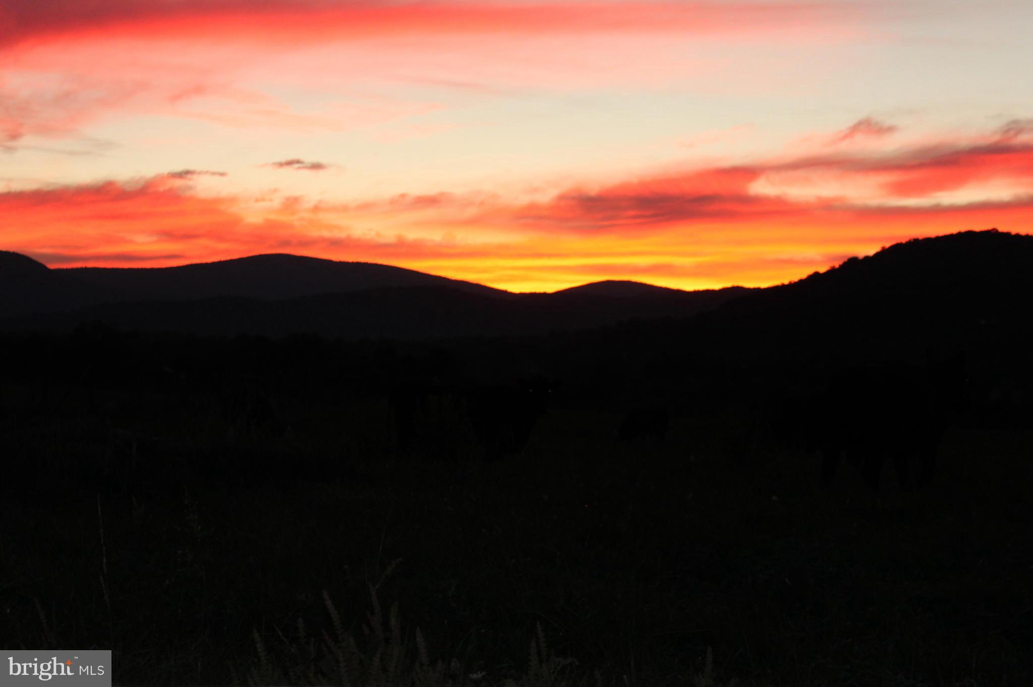 NONE AVAILABLE - Land