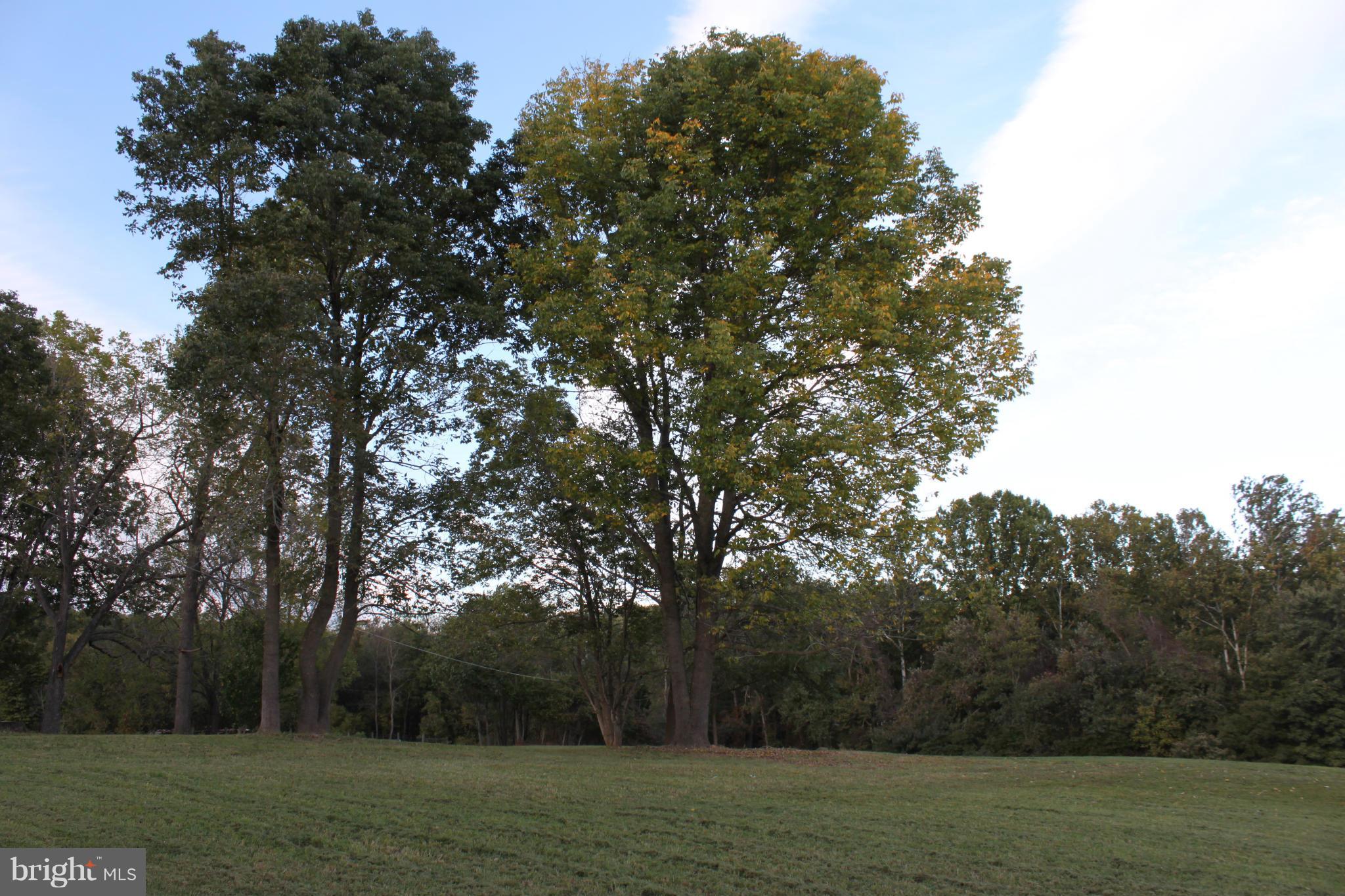 NONE AVAILABLE - Land