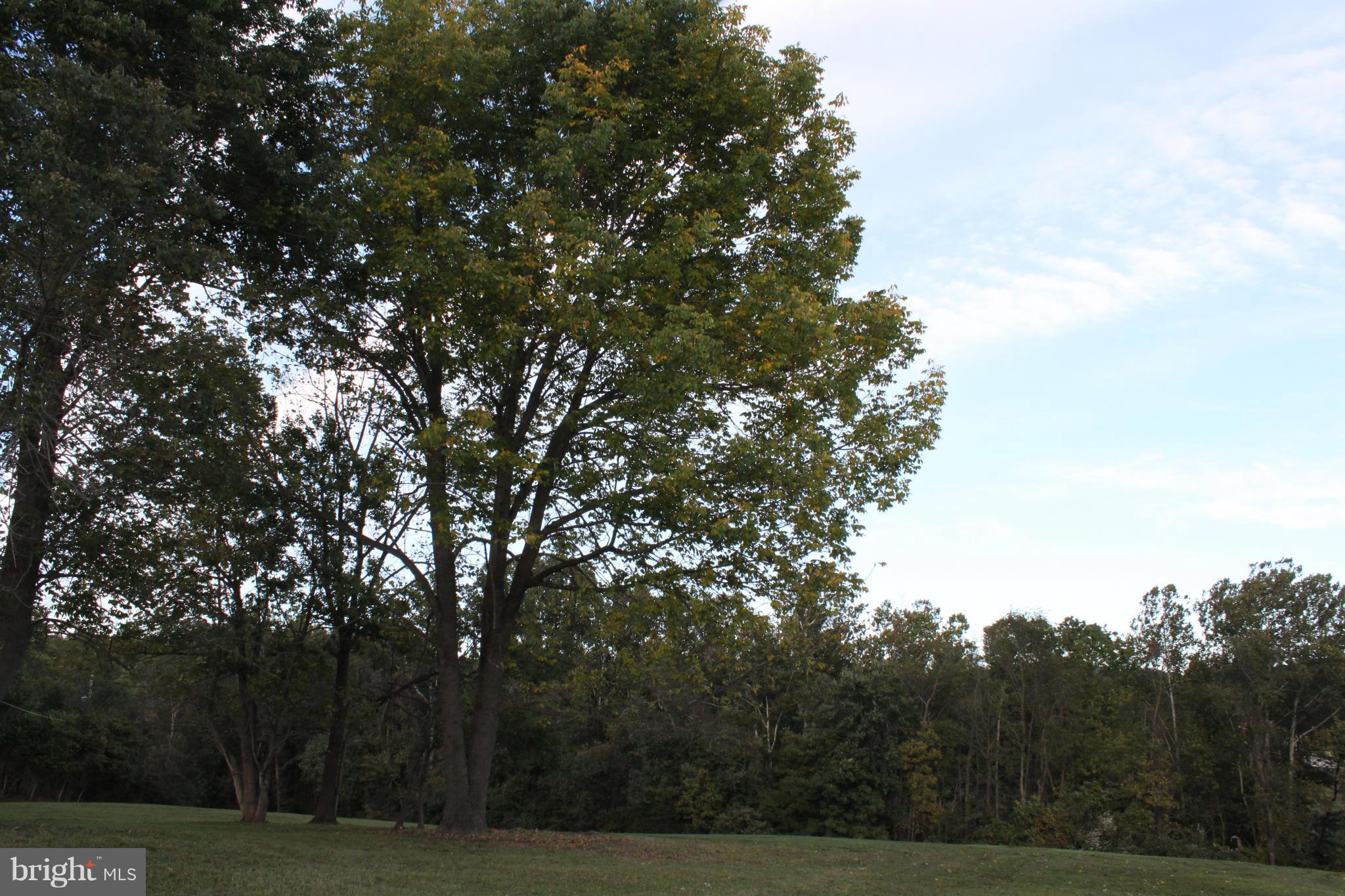 NONE AVAILABLE - Land