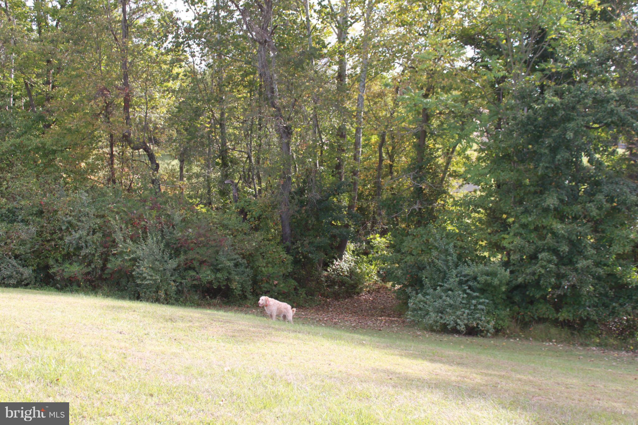 NONE AVAILABLE - Land