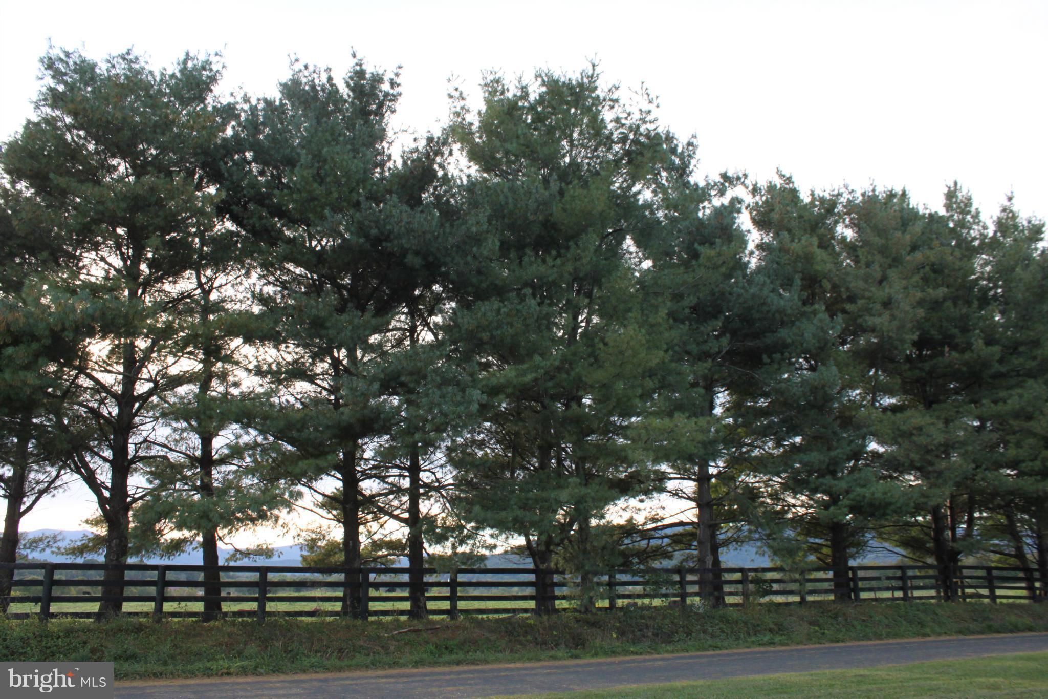 NONE AVAILABLE - Land