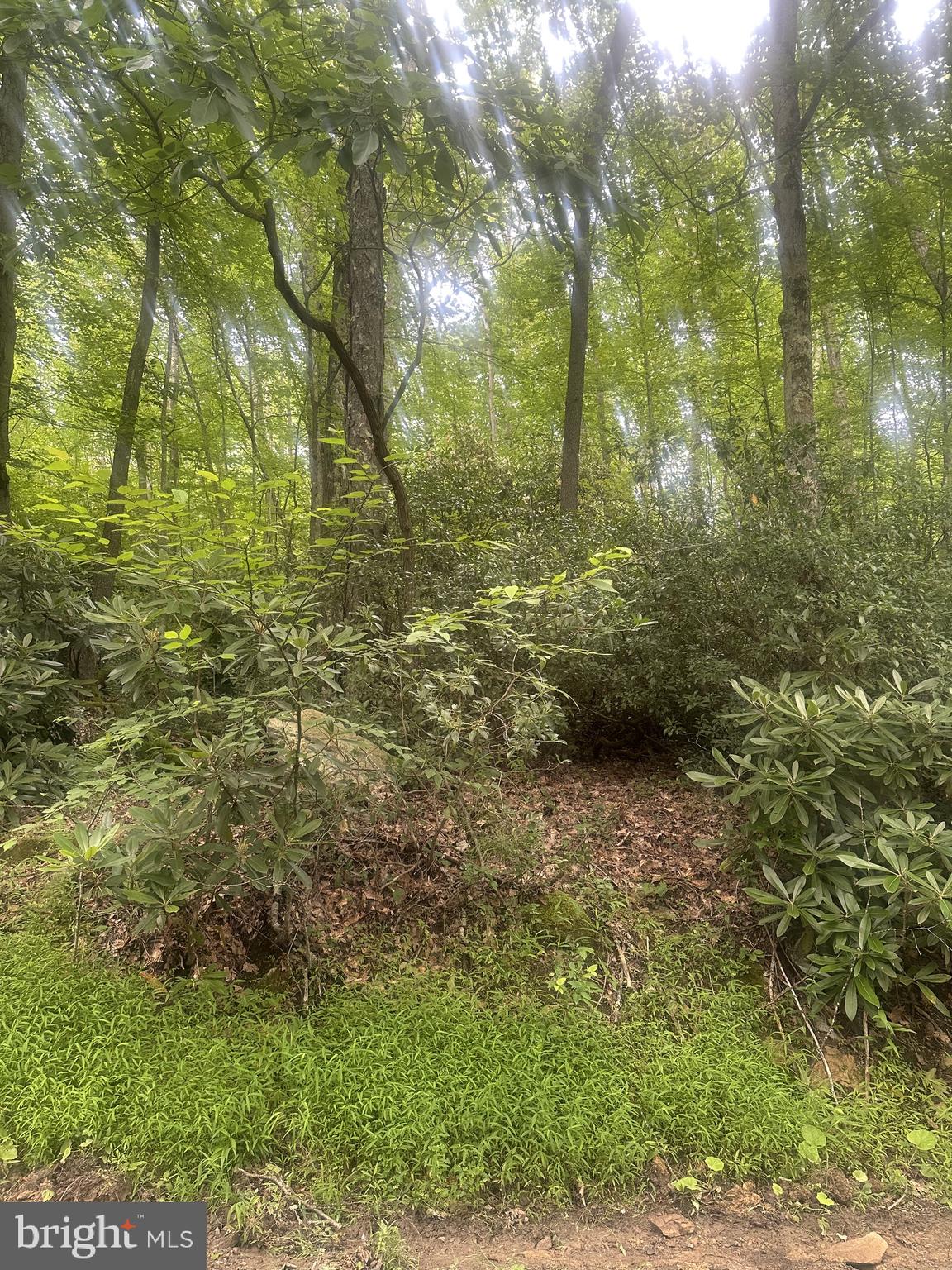 BEAR DRIVE E