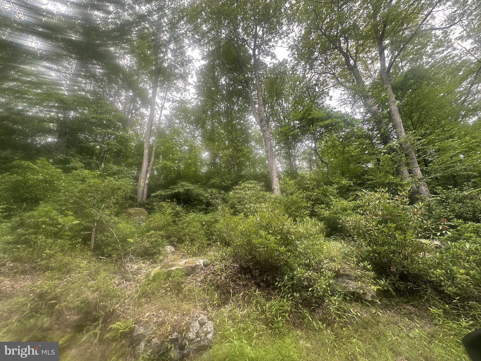 BEAR DRIVE E