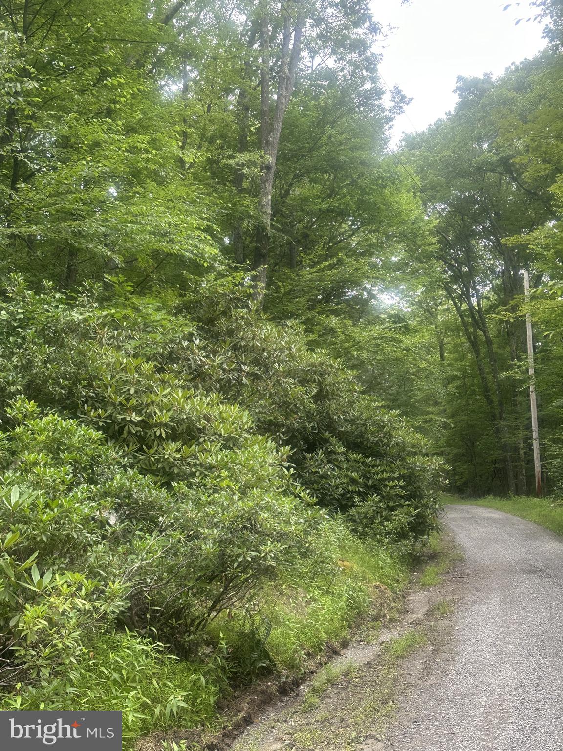 BEAR DRIVE E