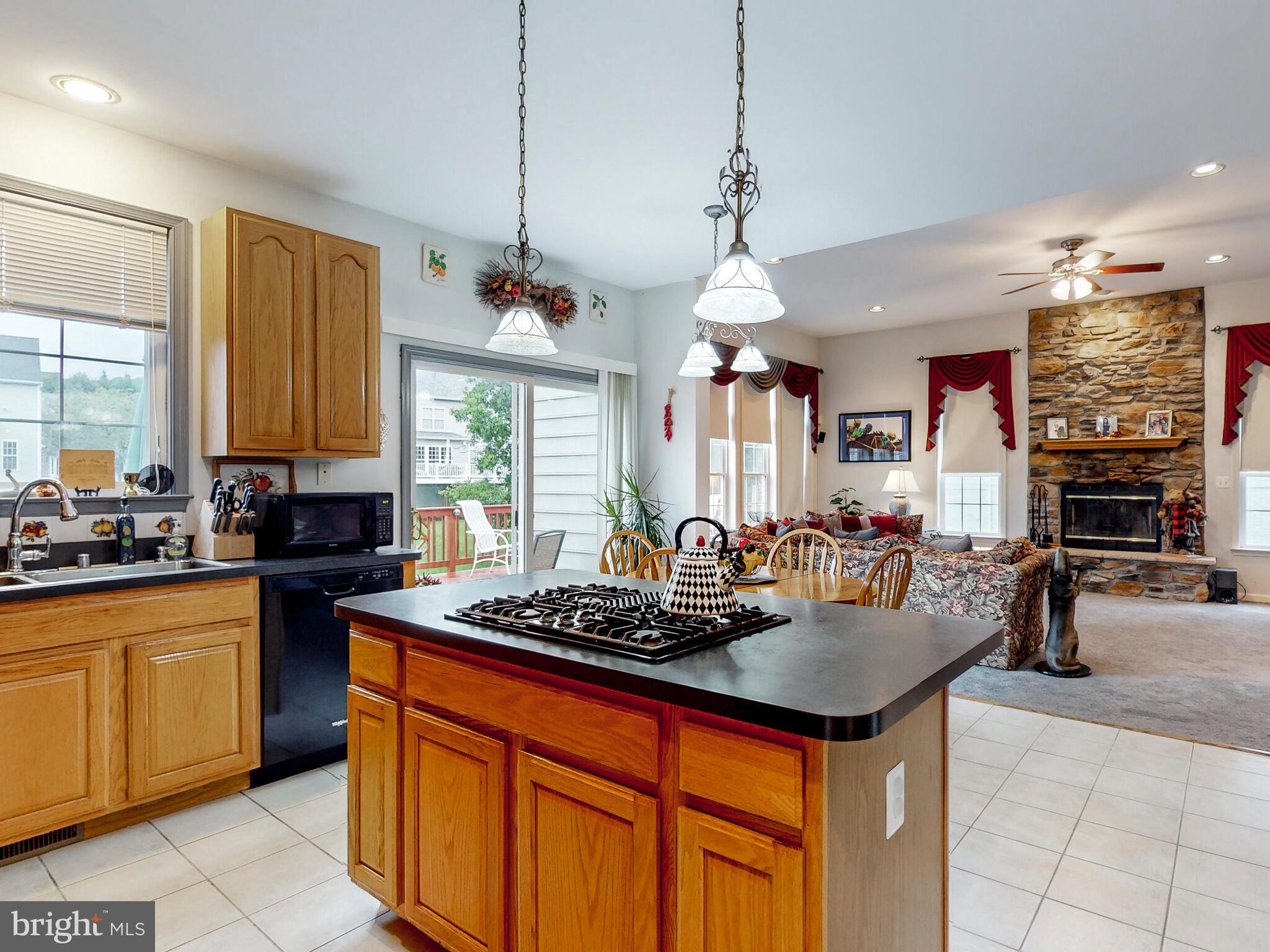 THE FIELDS OF SAGAMORE - Residential