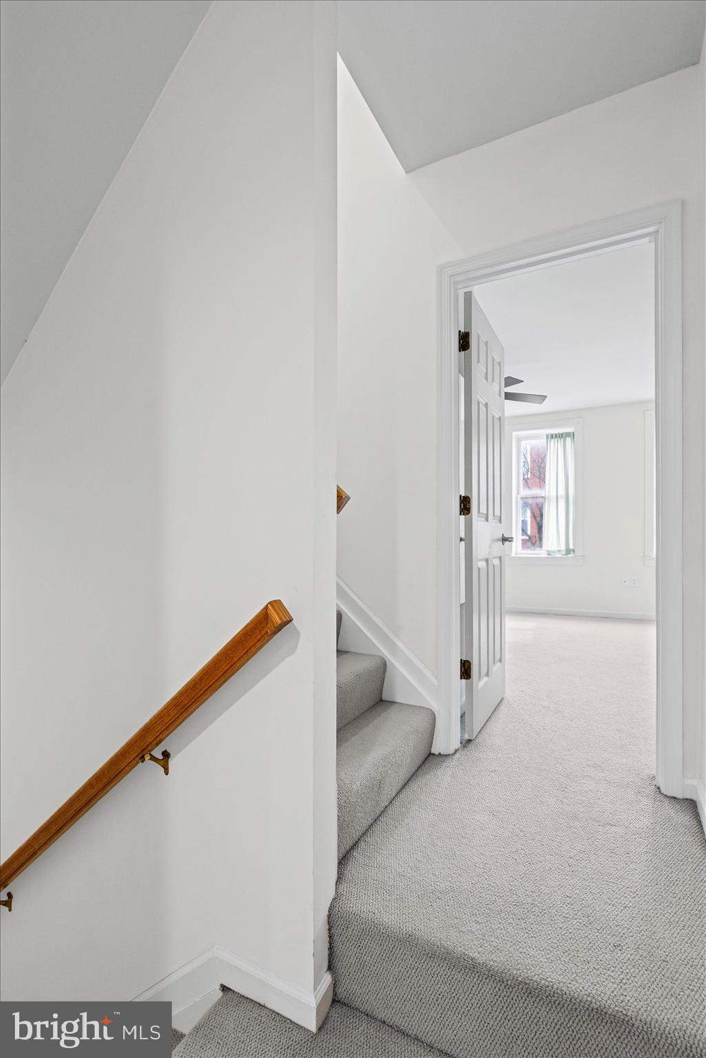 BUTCHERS HILL - Residential