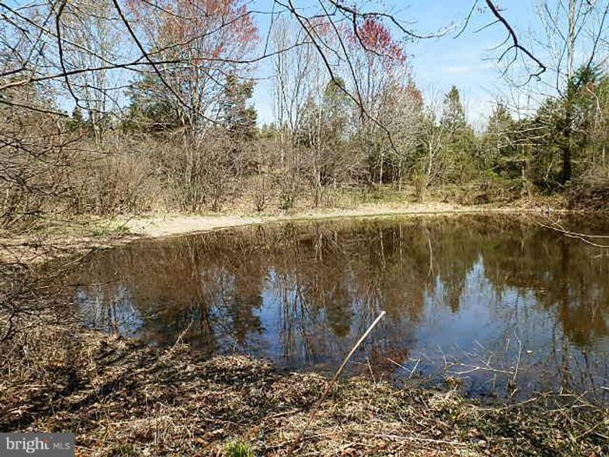 Great deal on 64+/- acres in Orange County. Property has both wooded and pasture areas, pond, stream, & trails. Build your home here, use for hunting property, weekend getaway... so many possibilities!