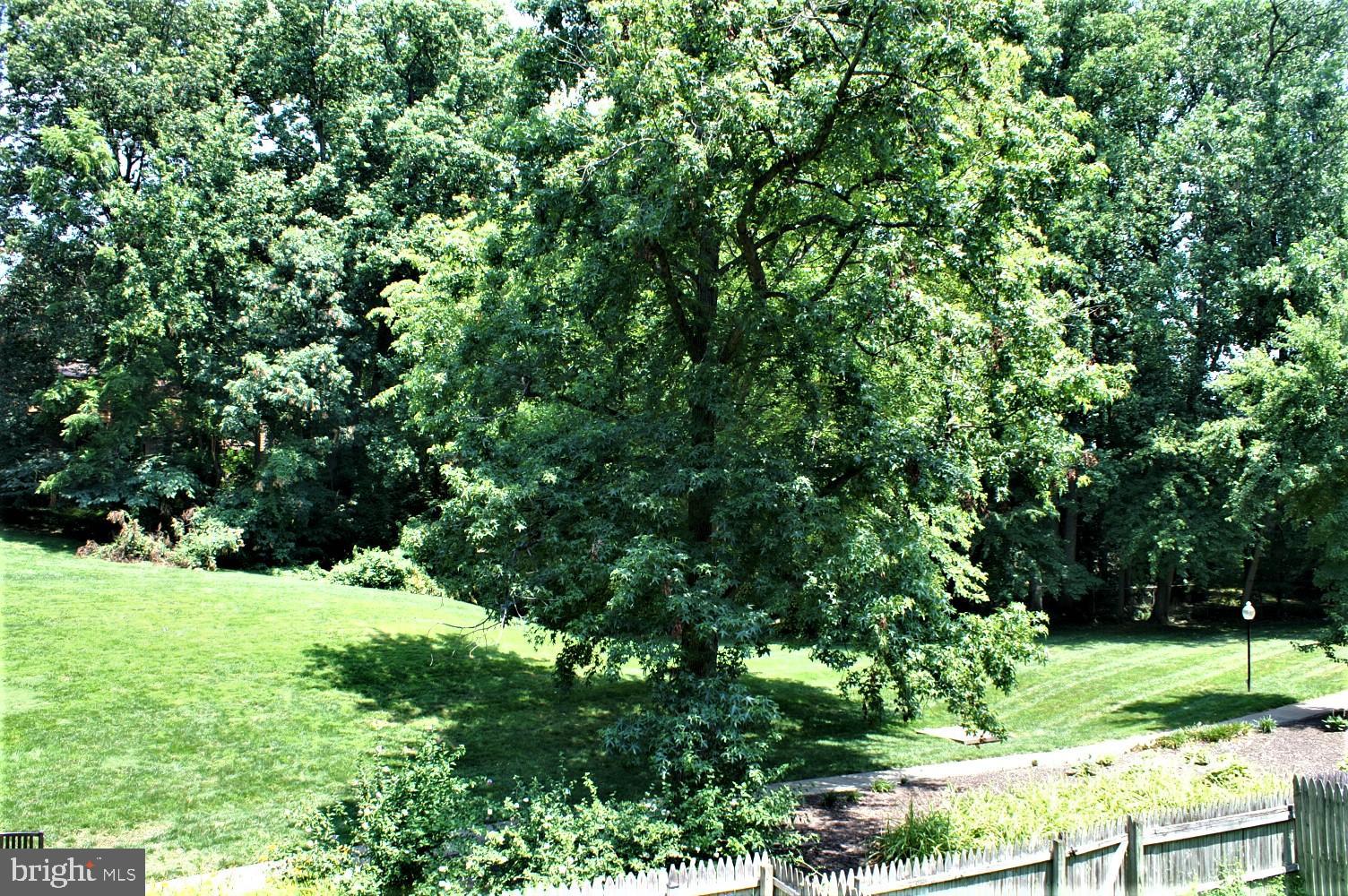 AMERICANA FAIRFAX - Residential