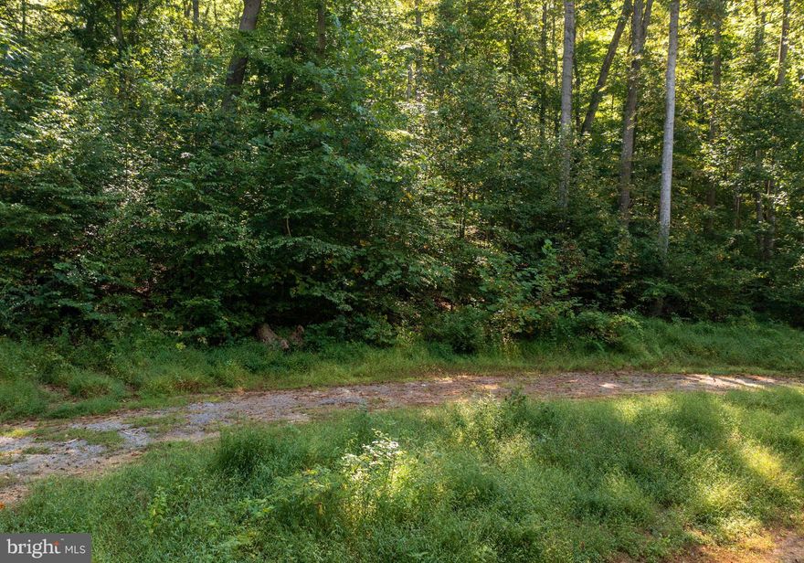 37 MOUNTAINOUS ACRES! Welcome to Riggs Hollow Road. This parcel consists of 37 +/- wooded acres. This property is secluded but less than 10 minutes from Route 29. Traditionally used as hunting land, this parcel is perfect for outdoor enthusiasts. Plat on file. **DRONE PHOTOS MAY CONTAIN PICTURES OF NEIGHBORING PROPERTIES**. Call today for more info!