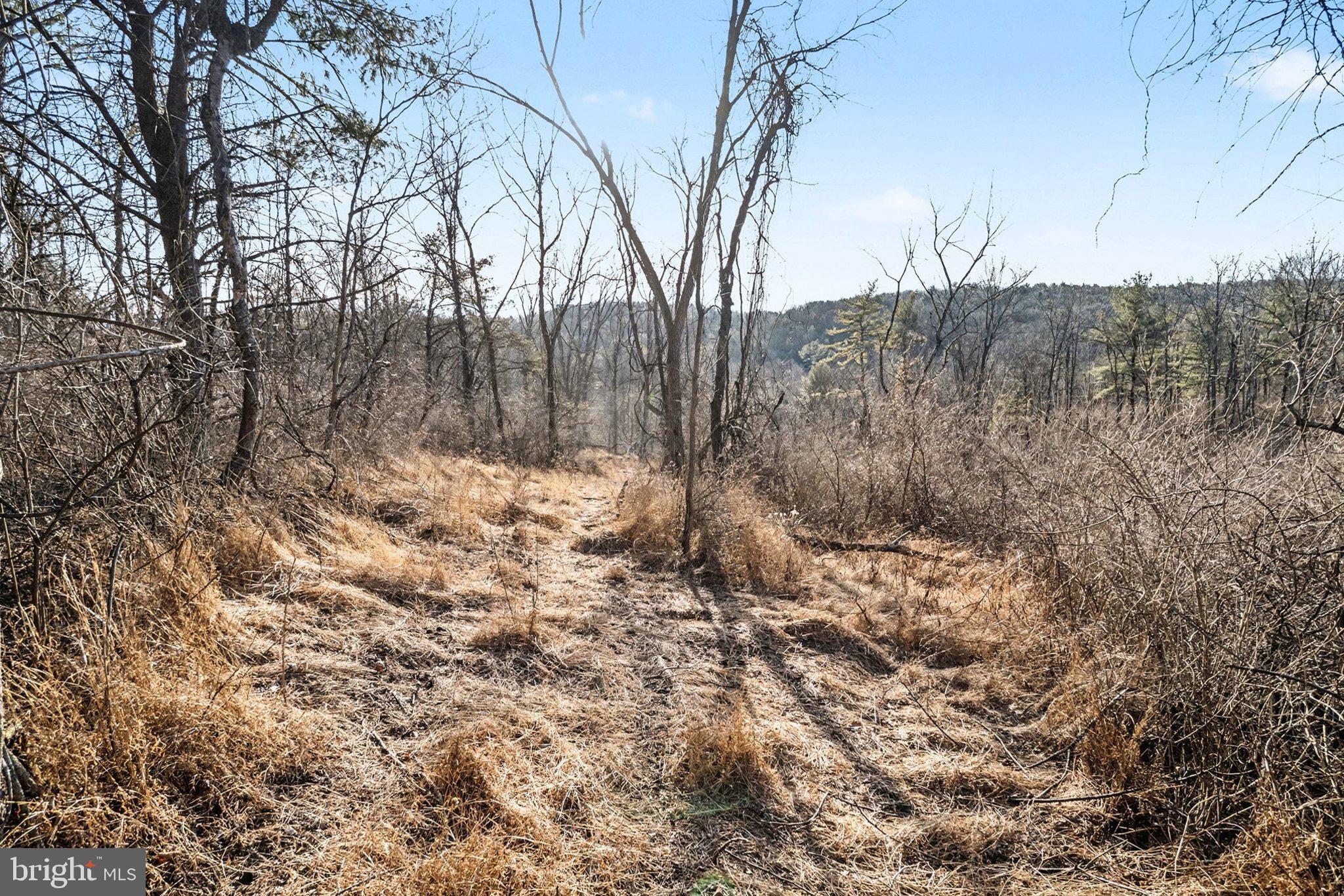 00 PARADISE RD LOT 1