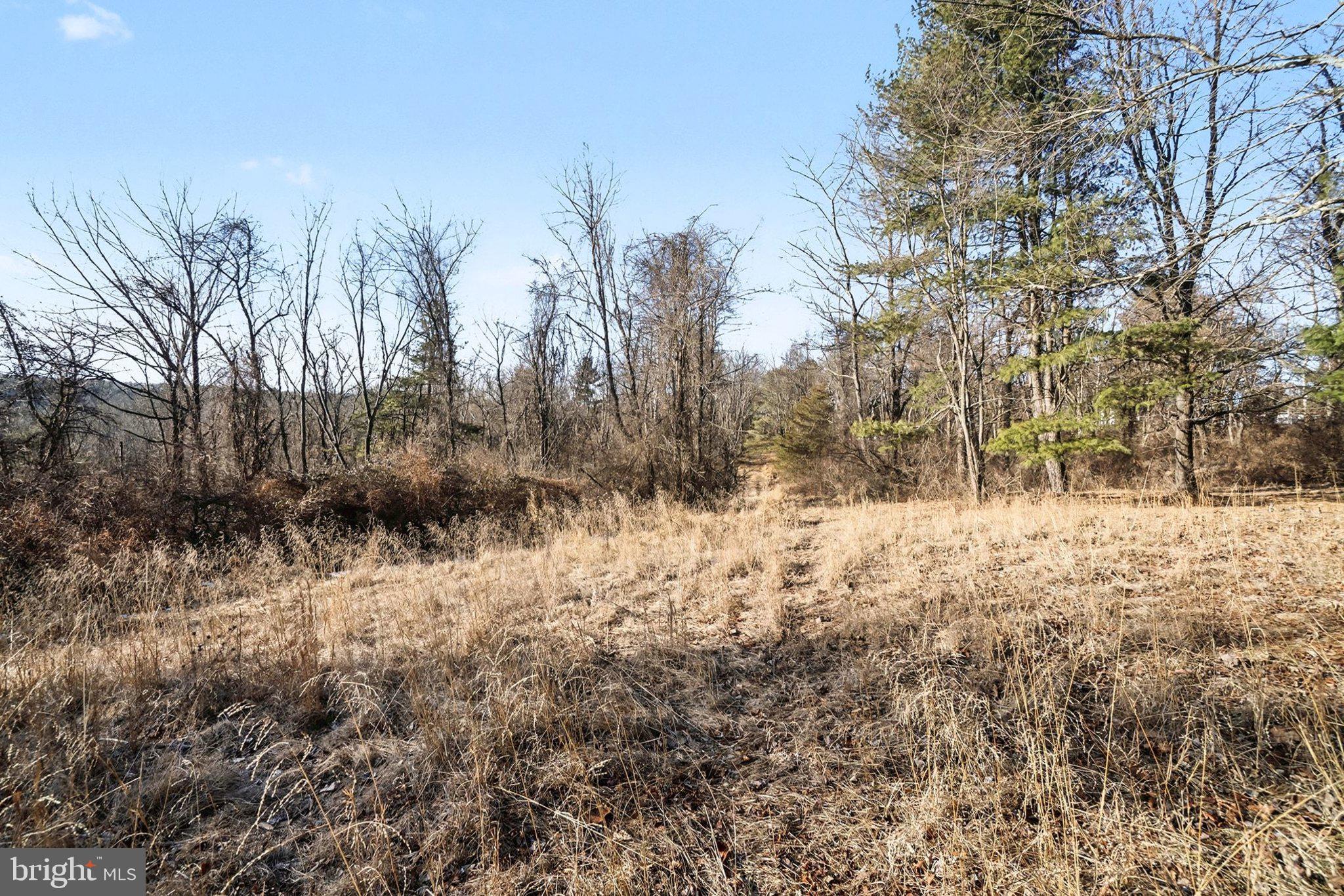 00 PARADISE RD LOT 1