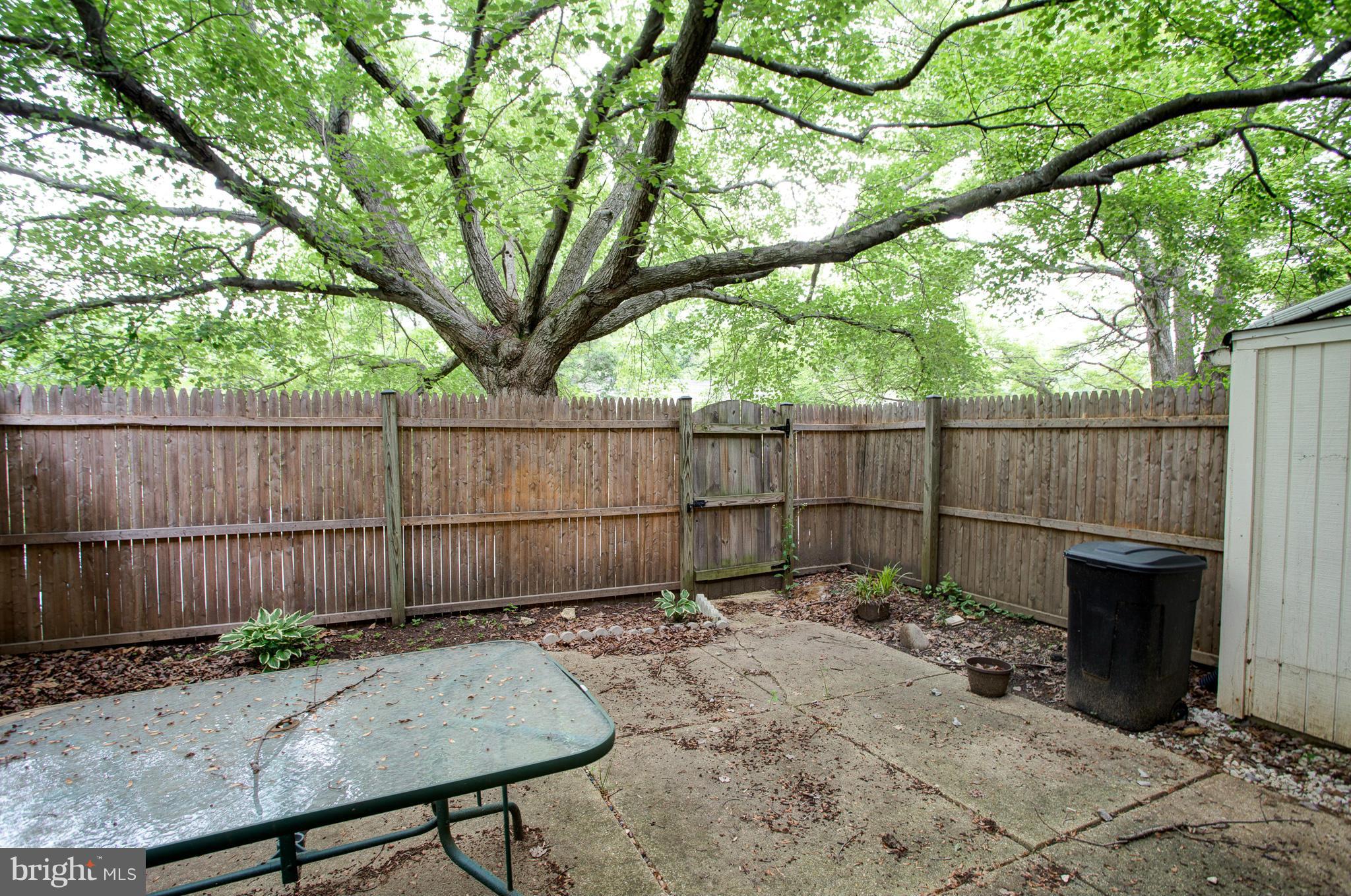 CARDINAL FOREST - Residential Lease