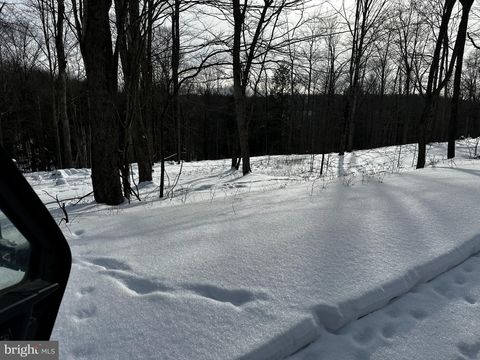 Vacant Land For Sale - 29 Melglen Lane<br/> Potter County, COUDERSPORT, PA 16915