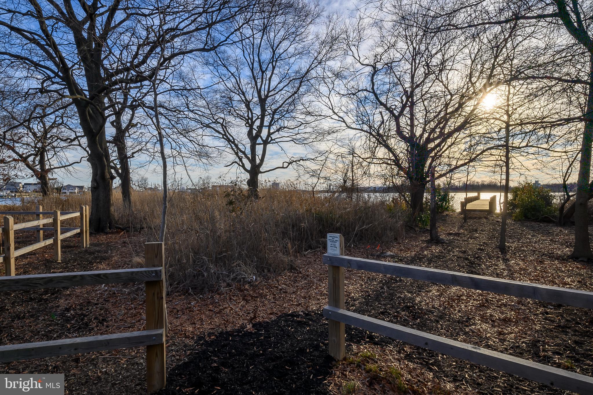 CHESAPEAKE TERRACE - Residential