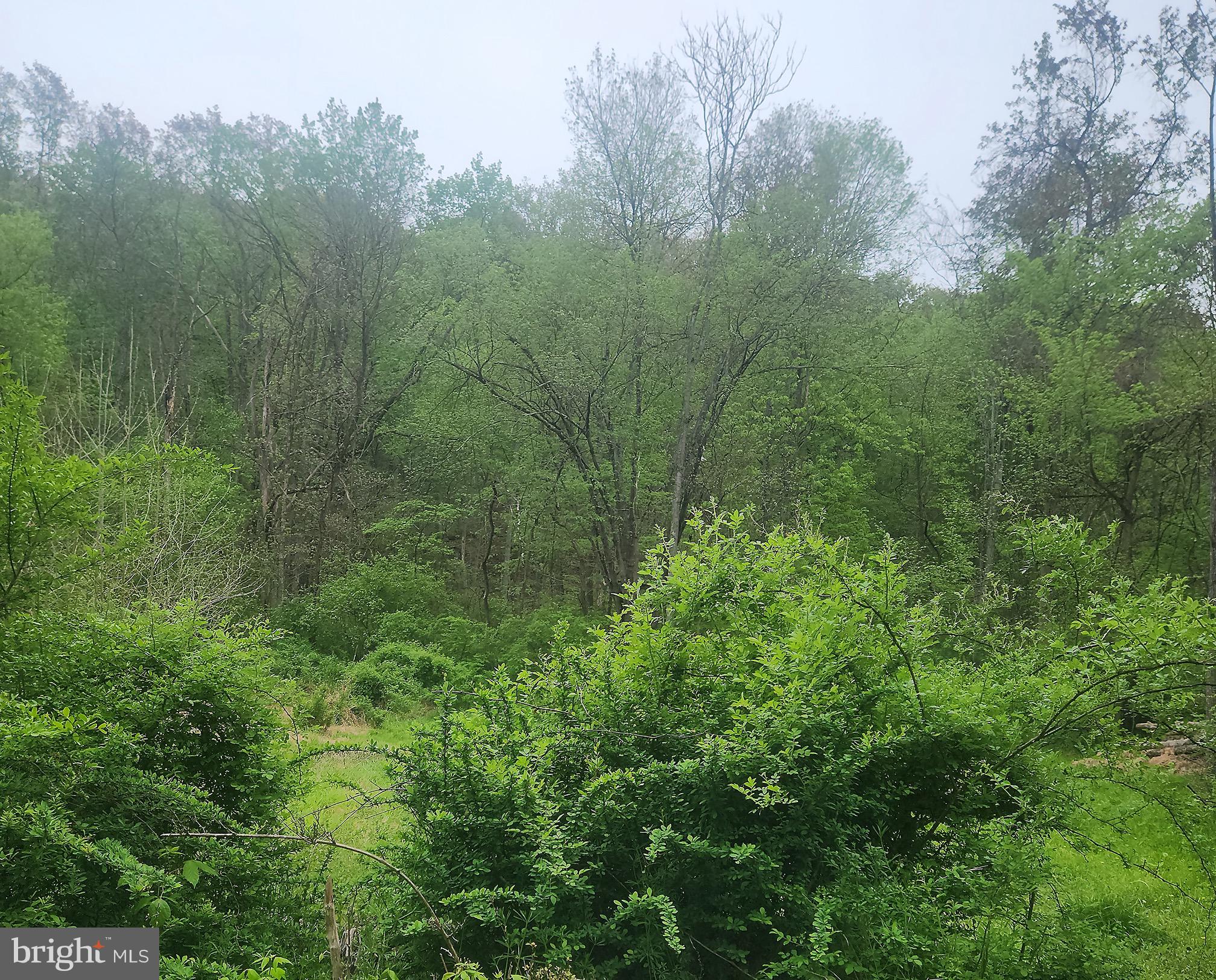 BARTONSVILLE - Residential