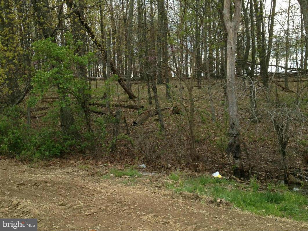 WEBBER SPRINGS - Residential