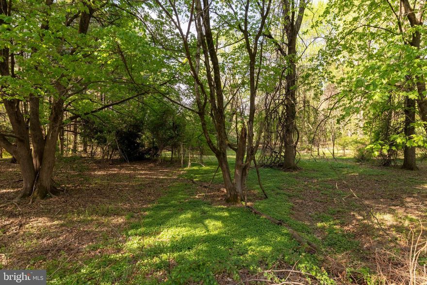 Approximately five acres.  Buyer is responsible for clearing the lot and removing the house and debris. This is an as-is sale. Do not walk the lot without signing the disclaimer in Bright Docs. 

The maroon Dodge Ram will be removed from the property; all other cars remain.
The cat houses will be removed.