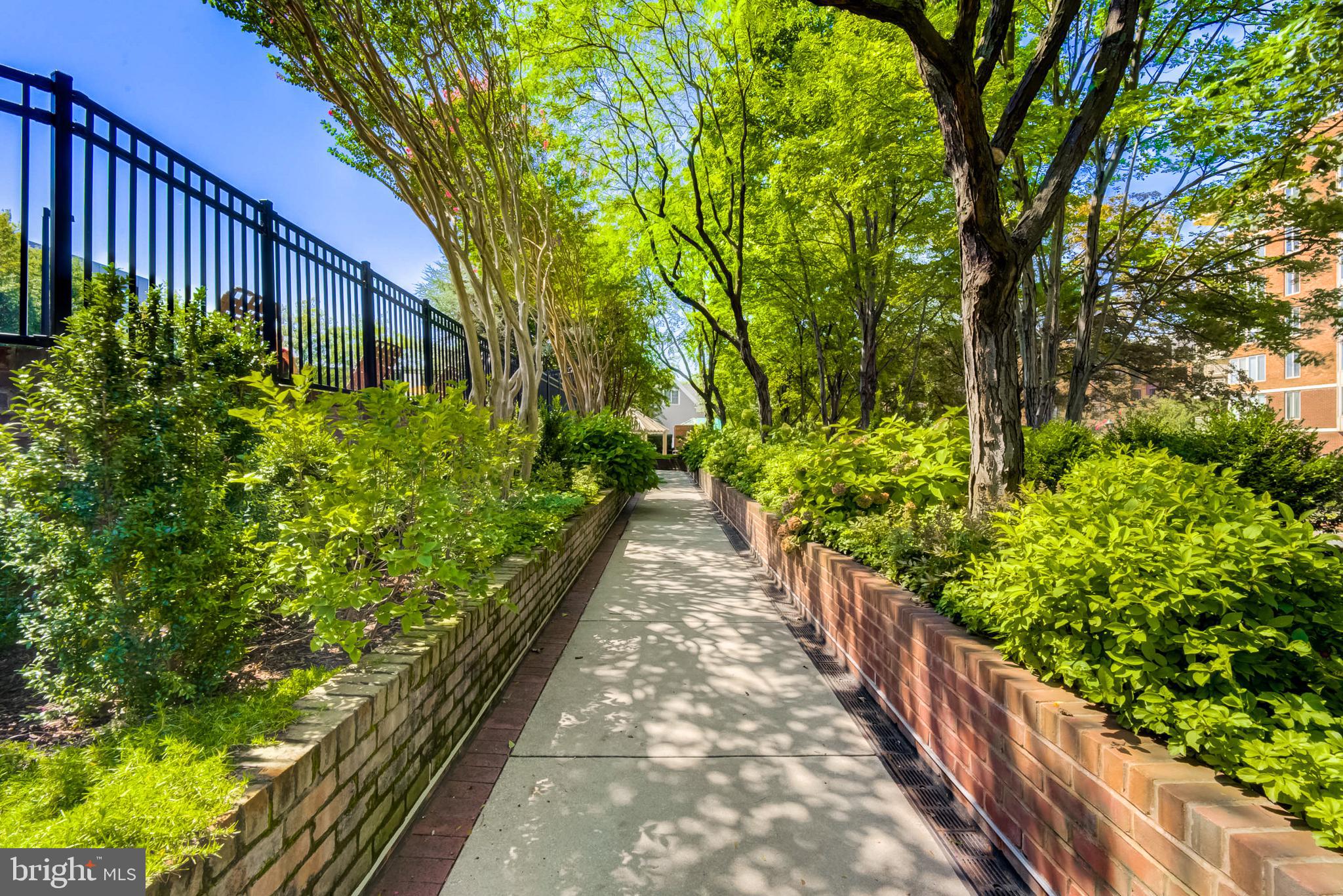 CHASE AT BETHESDA CODM - Residential