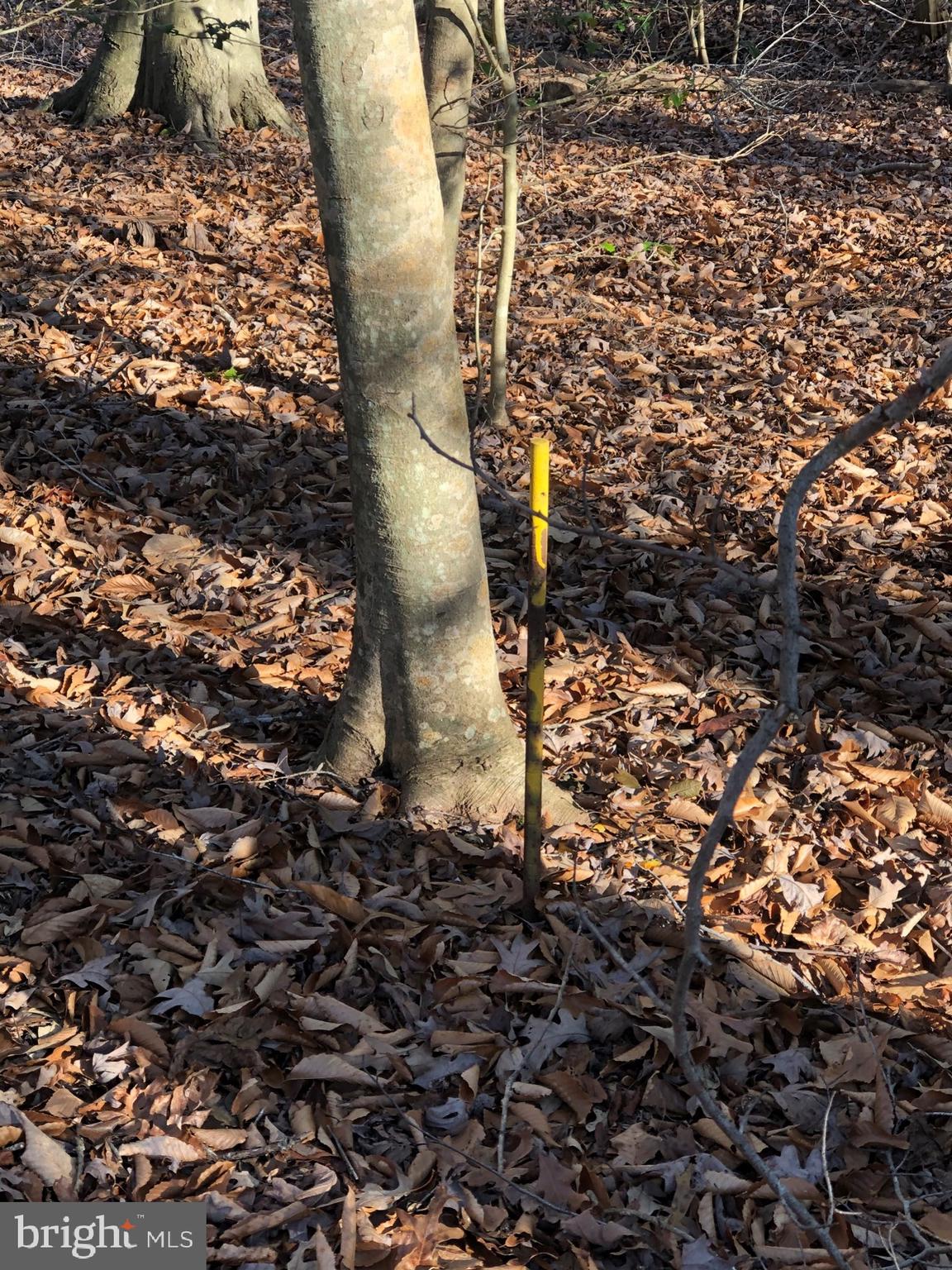 LA PLATA PARK - Land