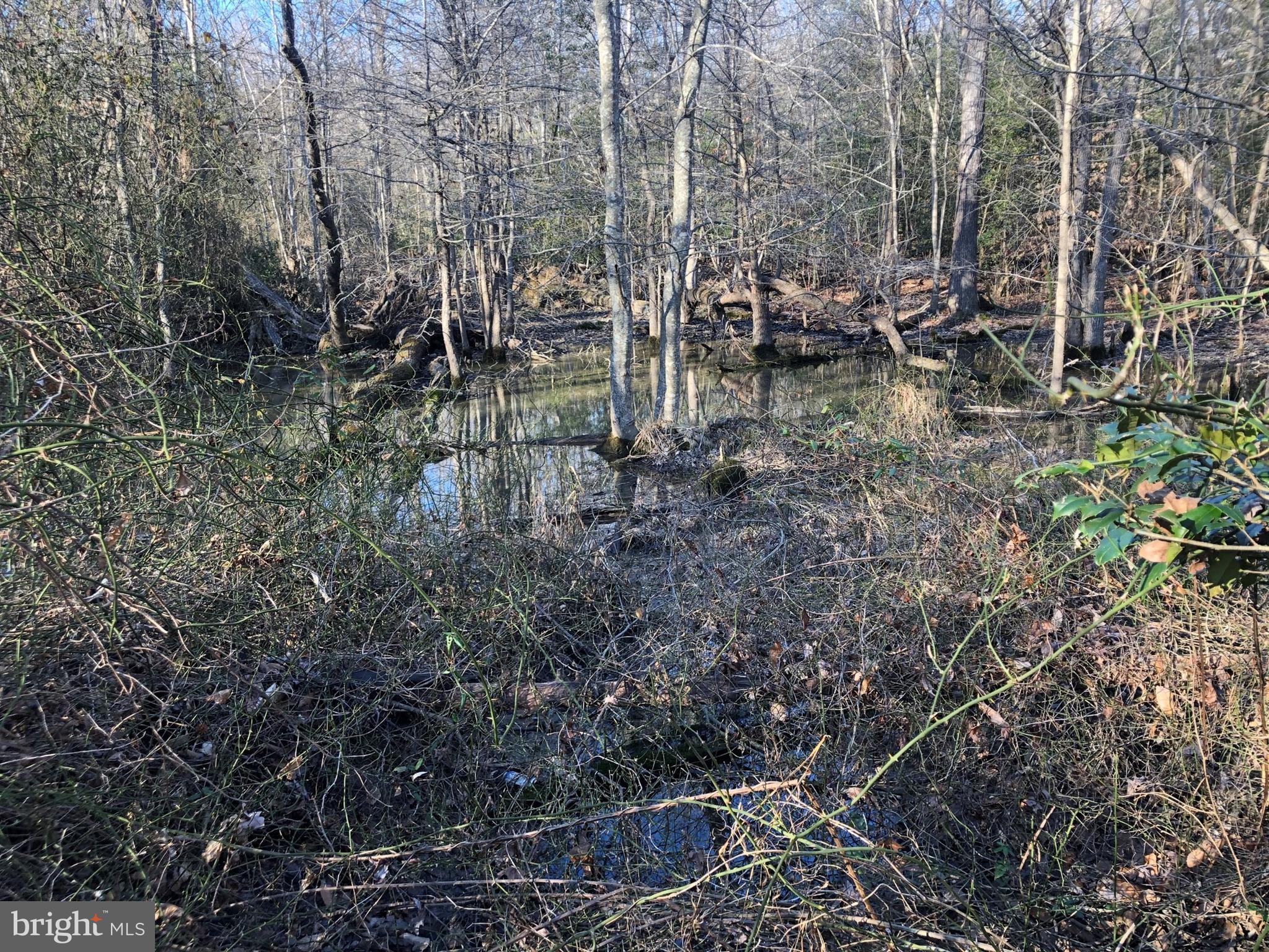 LA PLATA PARK - Land