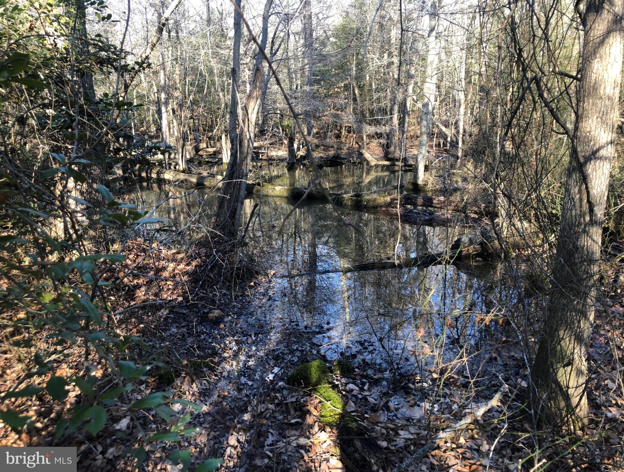 LA PLATA PARK - Land