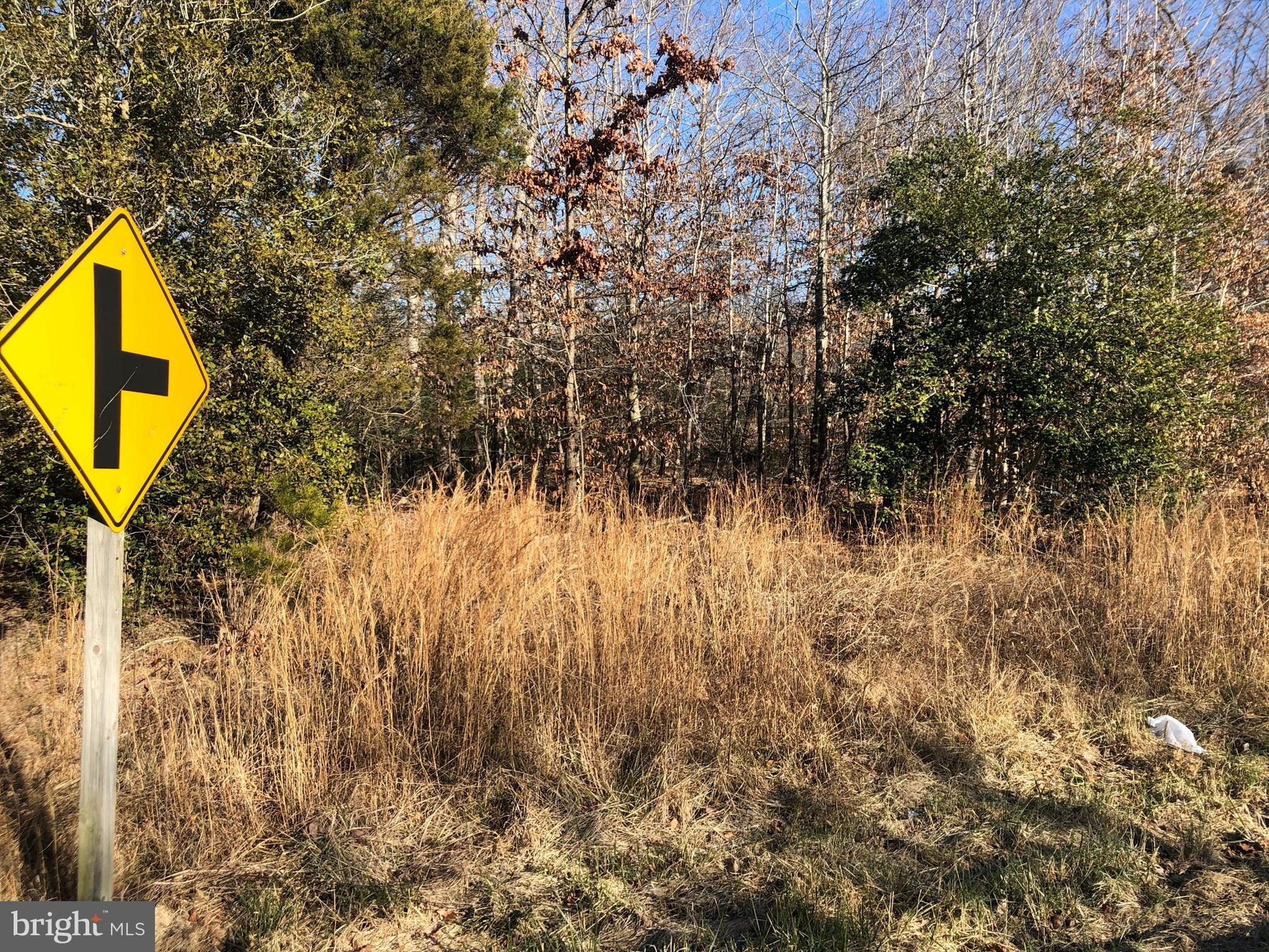 LA PLATA PARK - Land