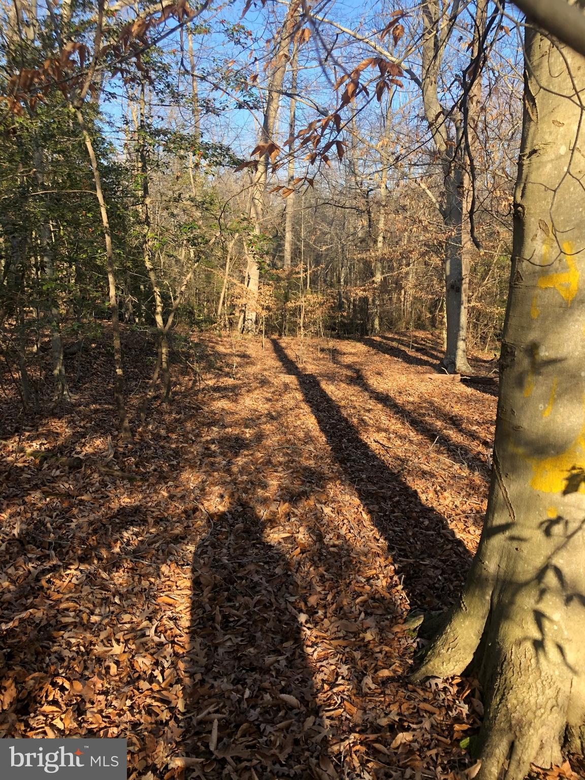 LA PLATA PARK - Land