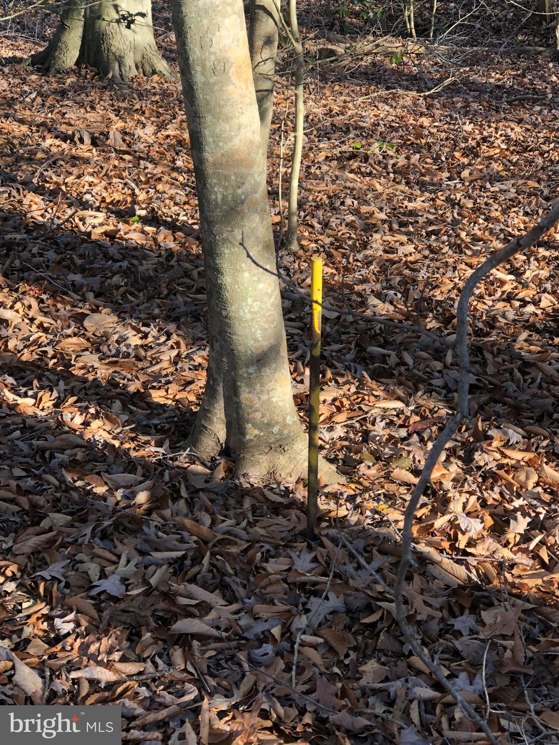 LA PLATA PARK - Land