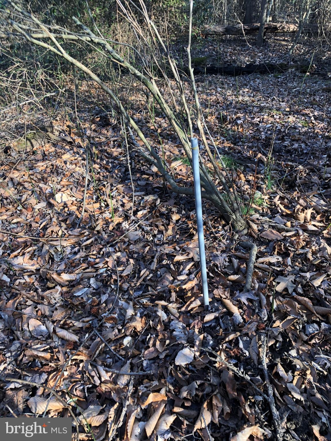 LA PLATA PARK - Land