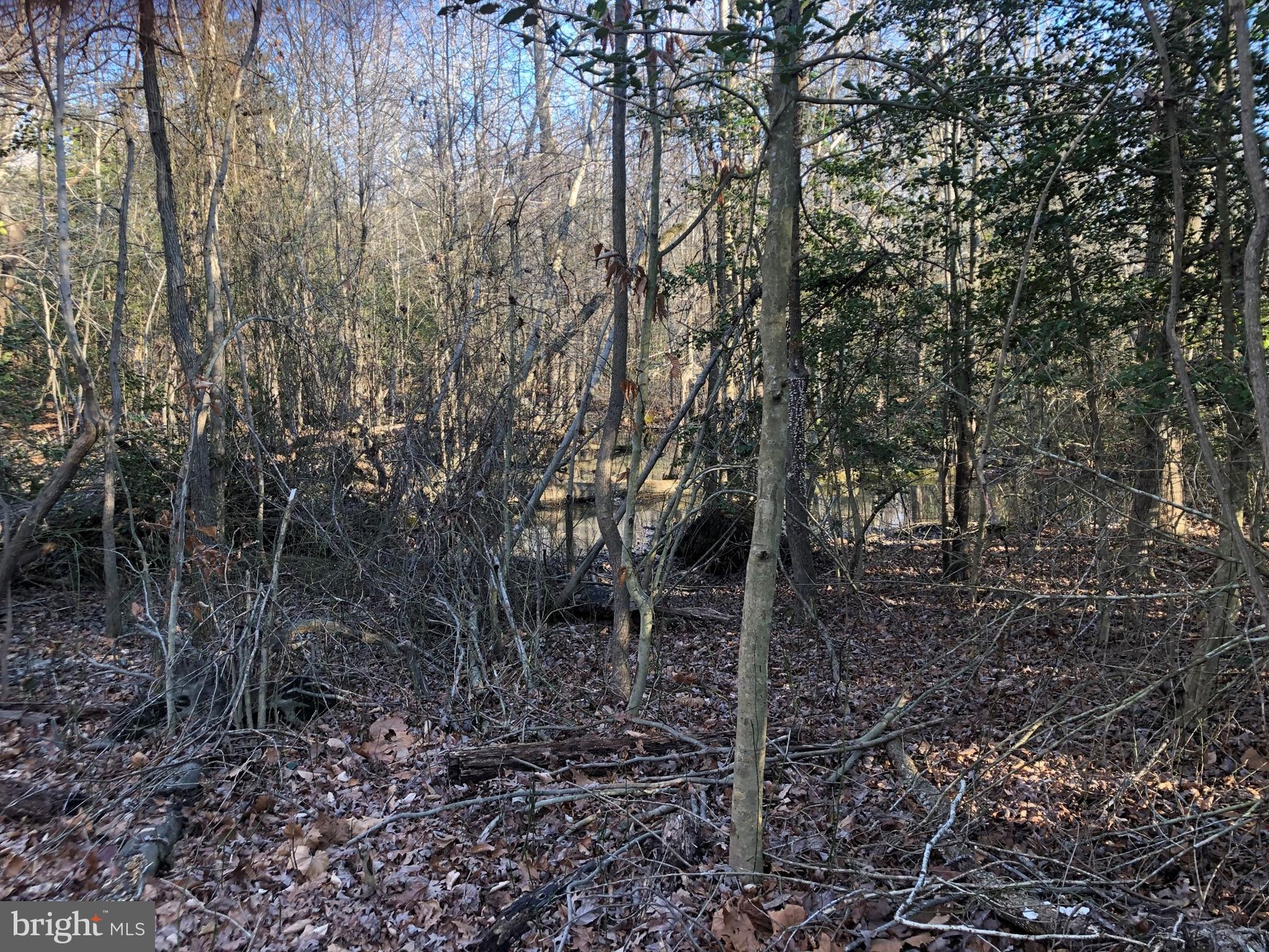 LA PLATA PARK - Land