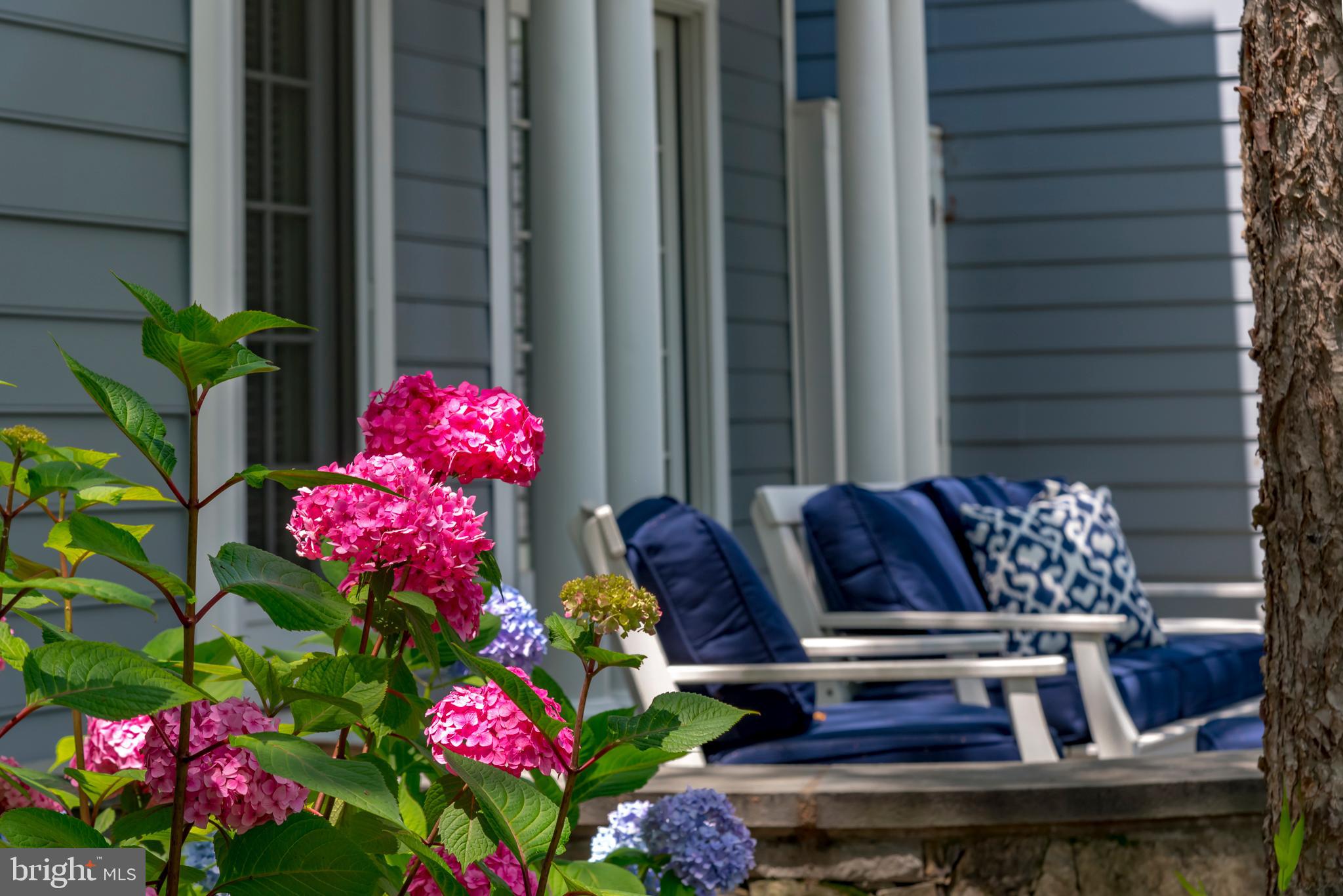 MURRAY HILL - Residential