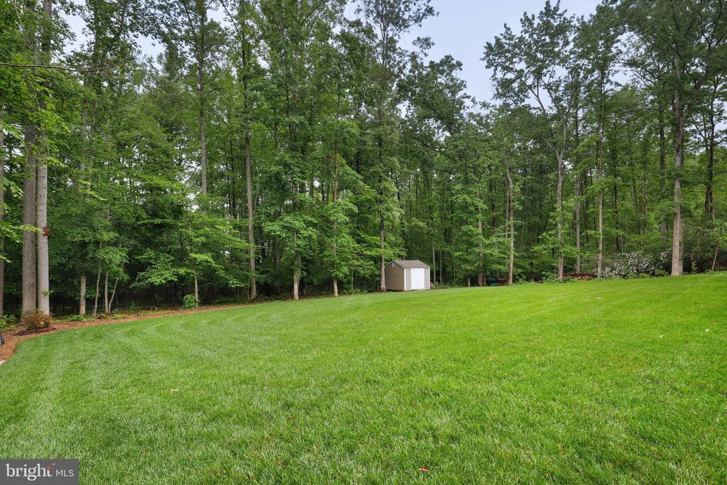 listing image 51