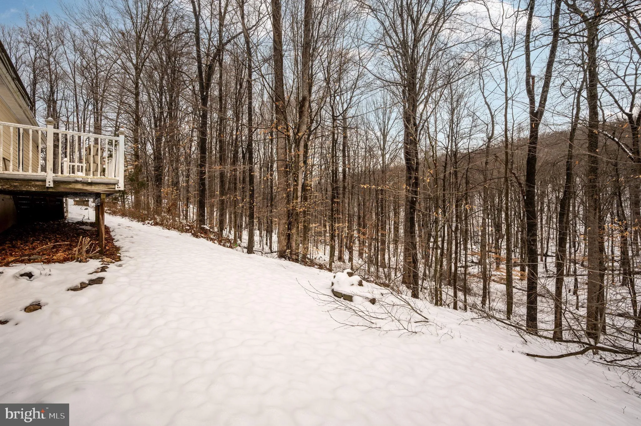 Broad Run, Virginia 20137, United States, 3 Bedrooms Bedrooms, ,2 BathroomsBathrooms,Residential,Contingent,16518