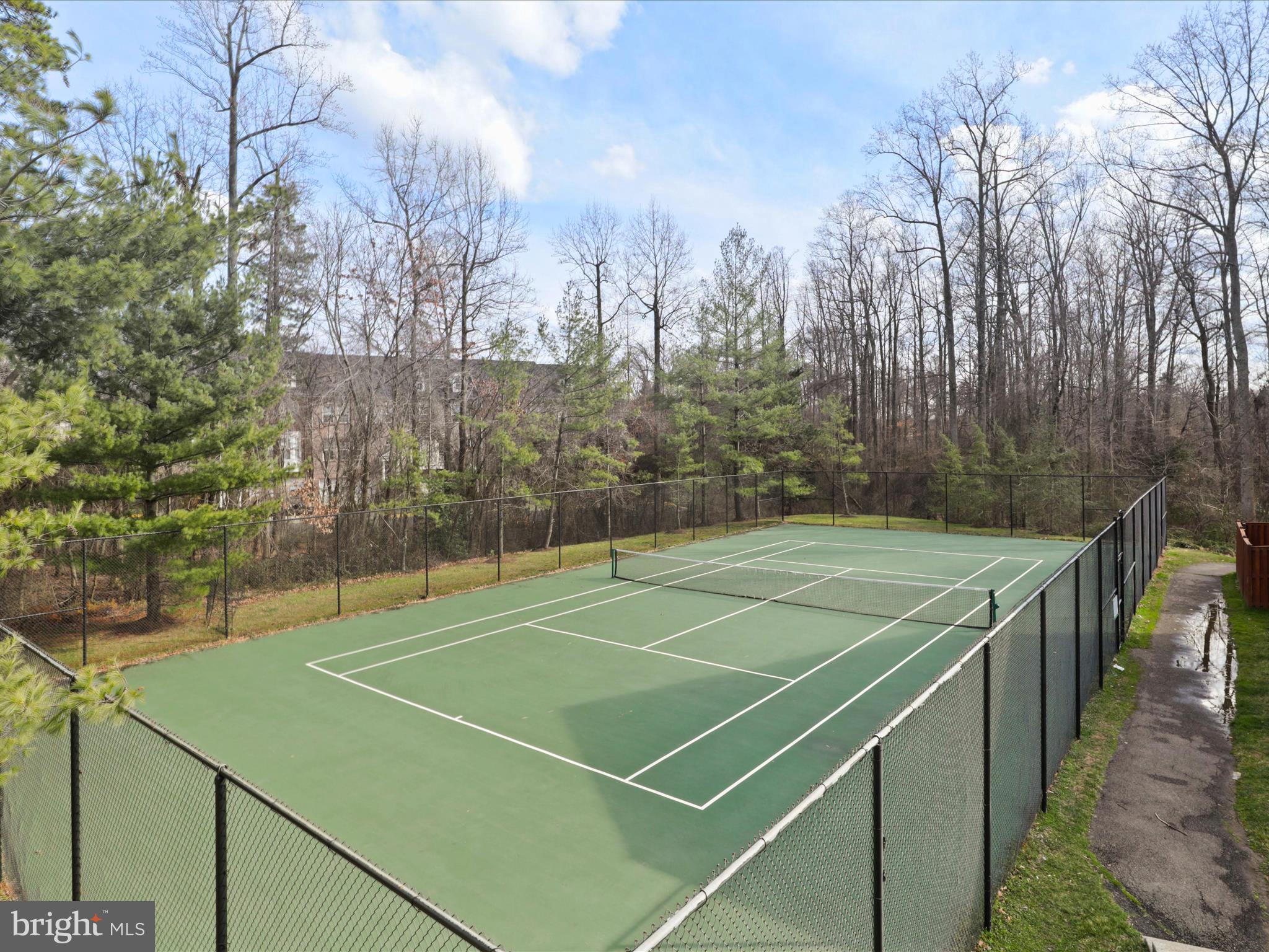 WINDSOR MEWS - Residential