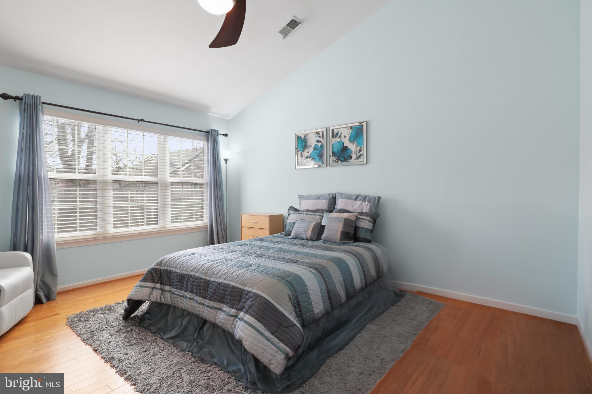 WINDSOR MEWS - Residential